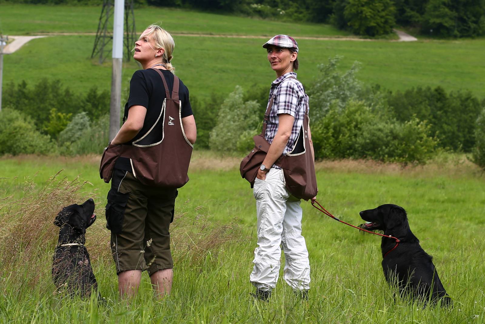 Limgl1714 20130616 1183991460