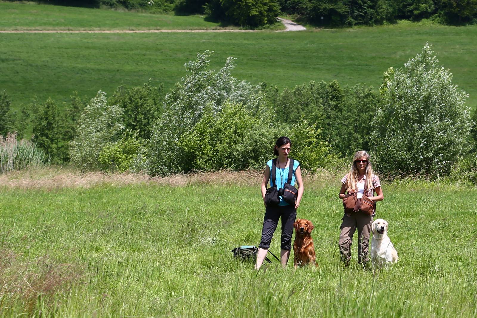 Limgl1722 20130616 1589121268