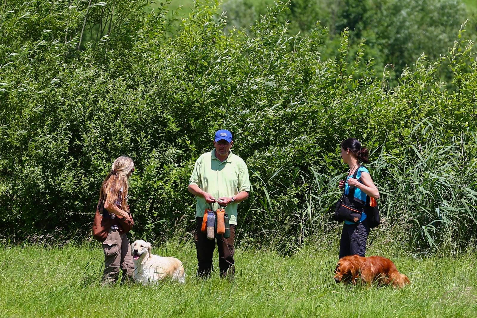 Limgl1725 20130616 1758759218