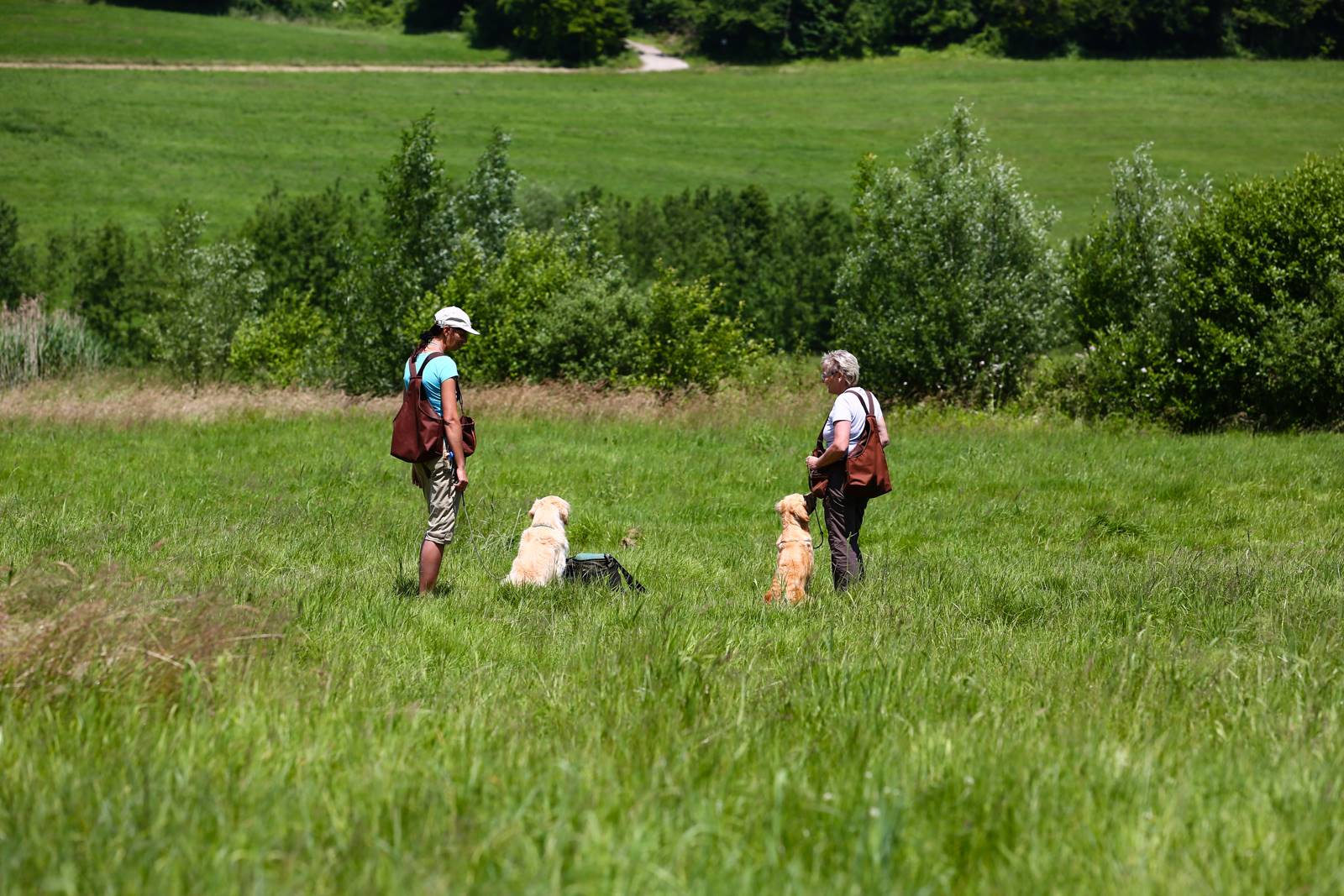 Limgl1726 20130616 1289668377