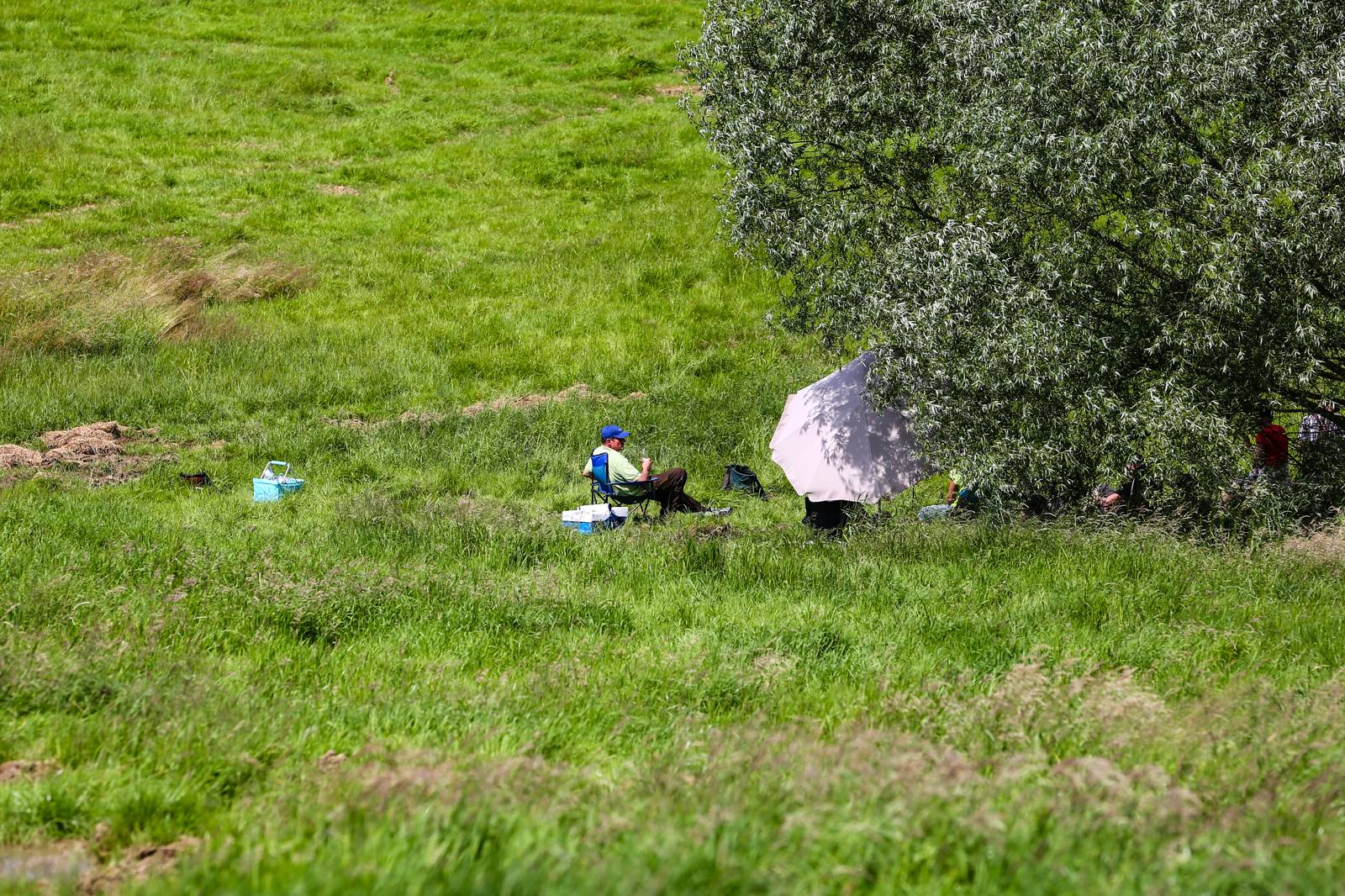 Limgl1732 20130616 1509233764