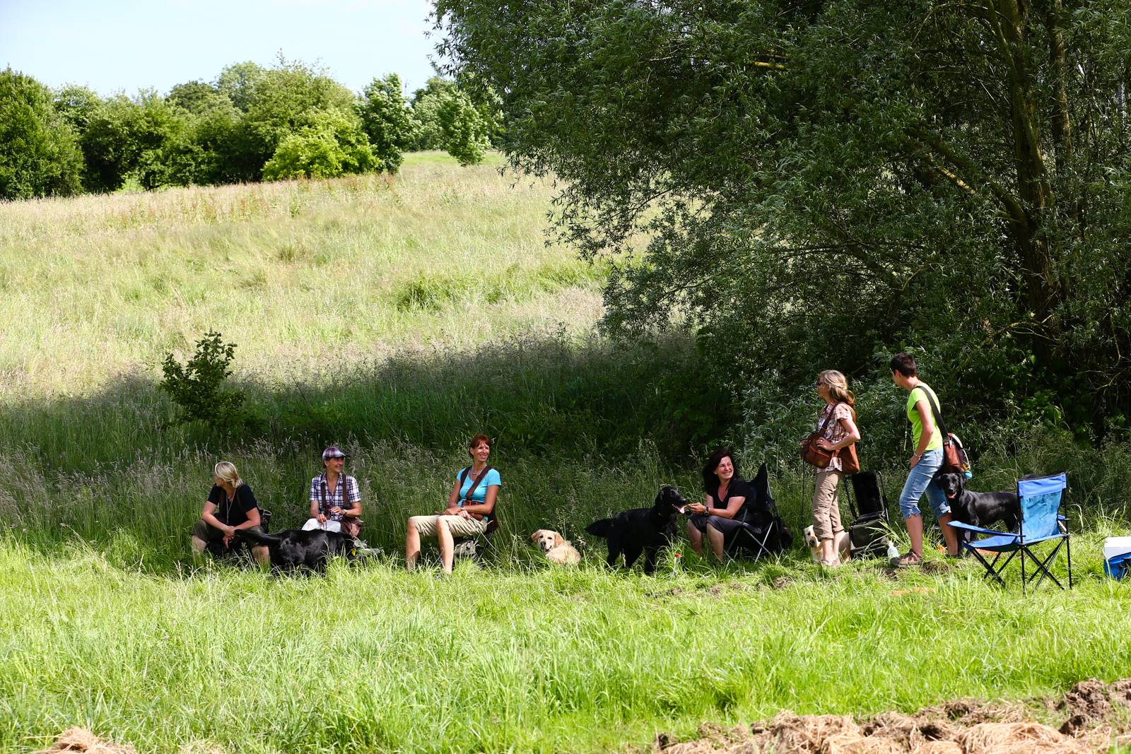 Limgl1737 20130616 2073918289