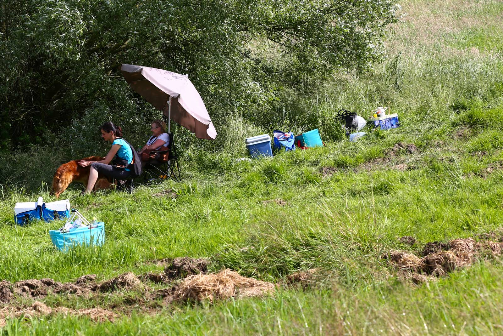 Limgl1738 20130616 1070904564