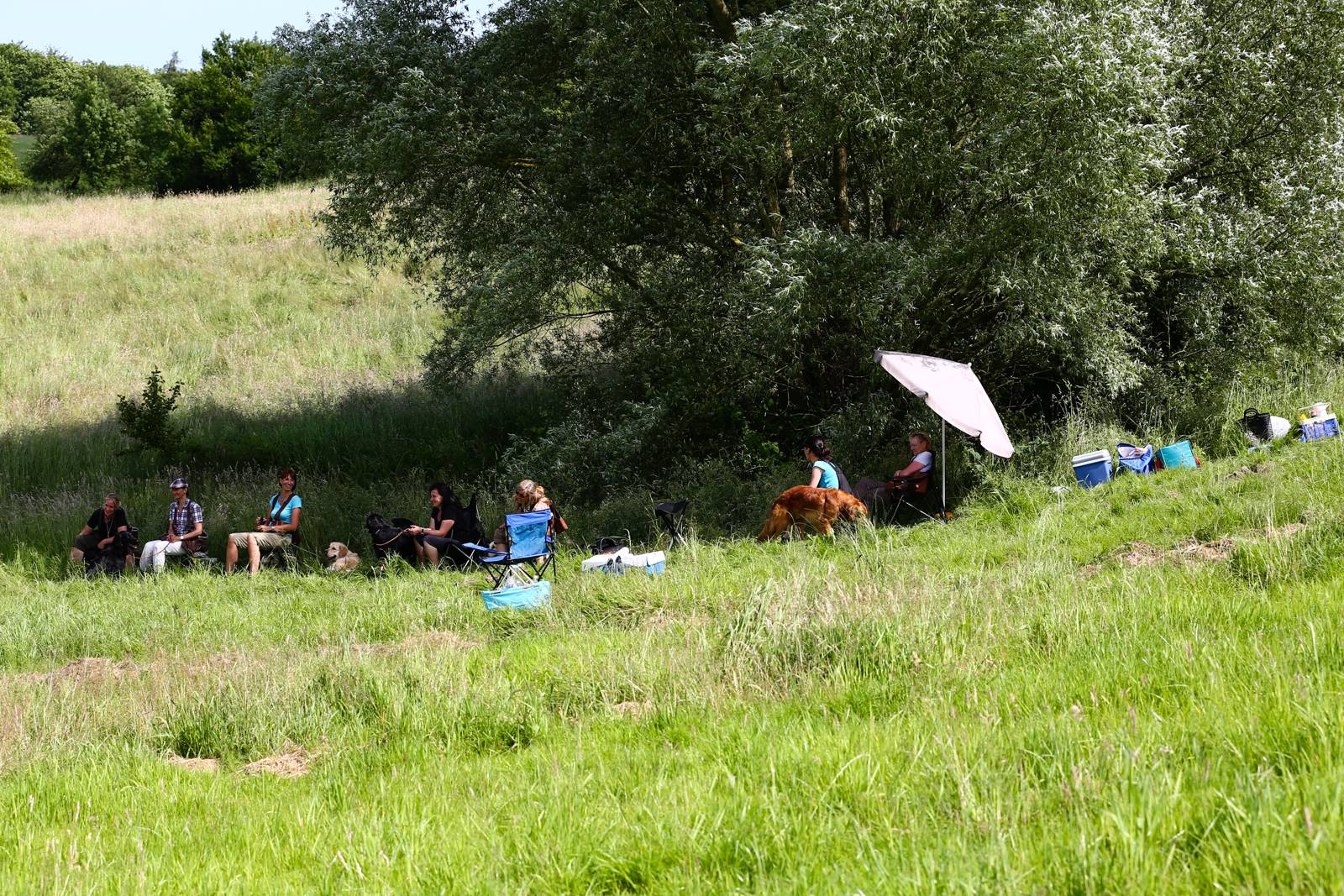 Limgl1739 20130616 1561632611