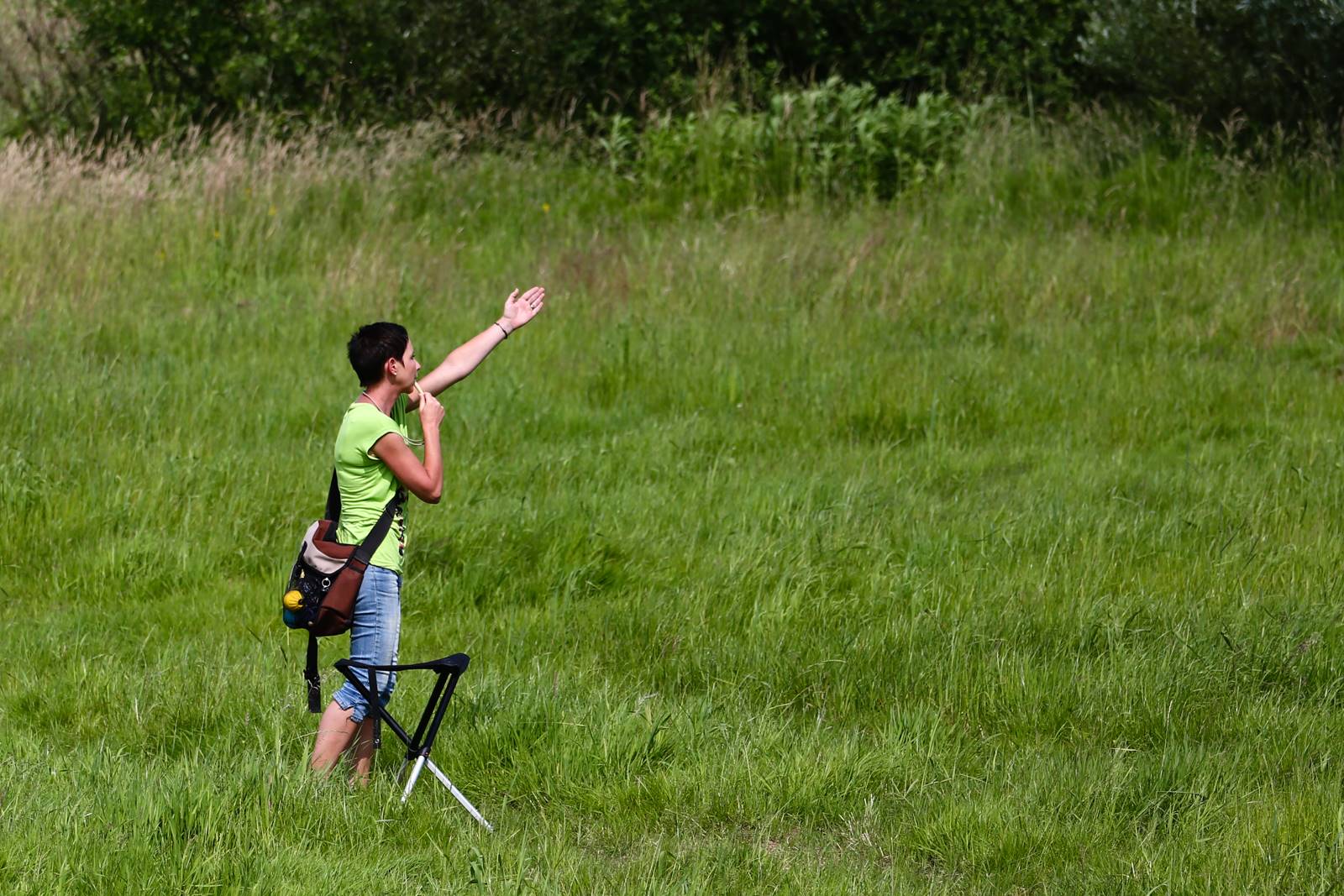 Limgl1740 20130616 1054165956