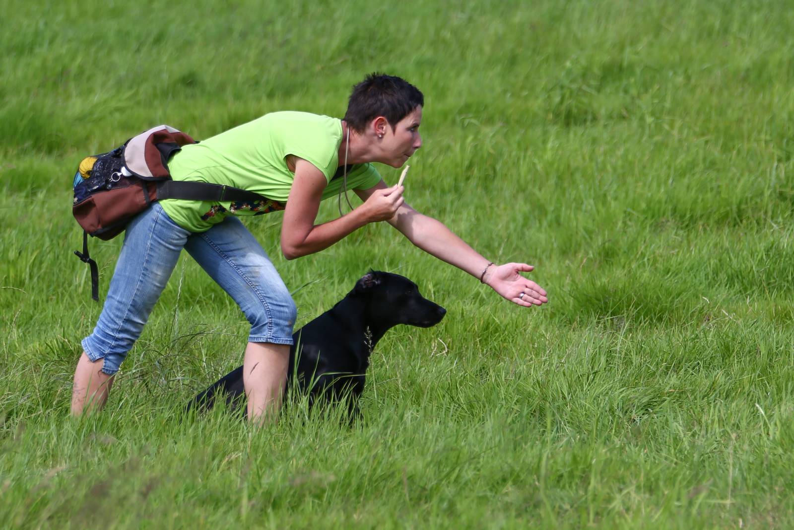 Limgl1744 20130616 1193877378