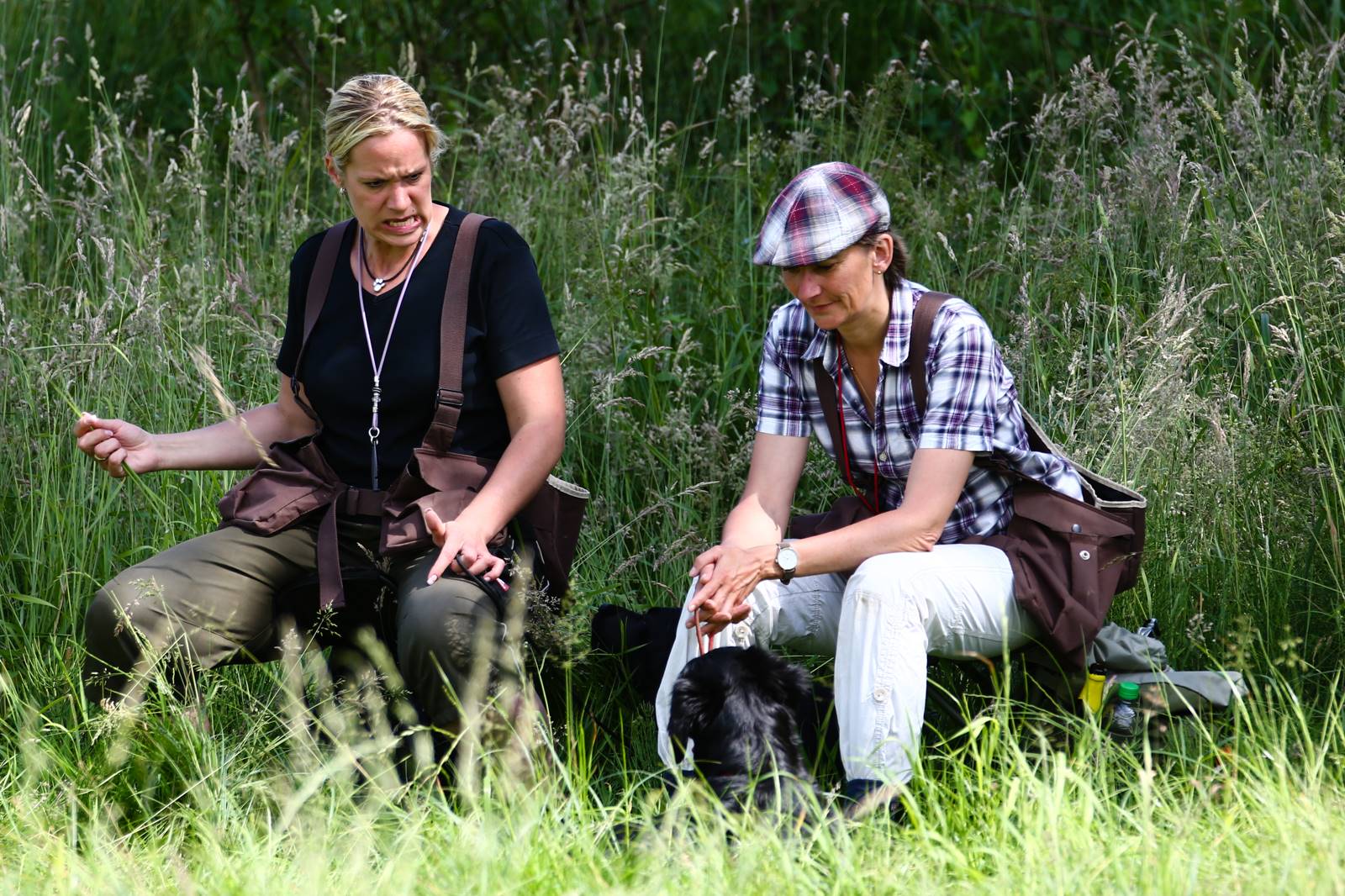 Limgl1746 20130616 1119258056