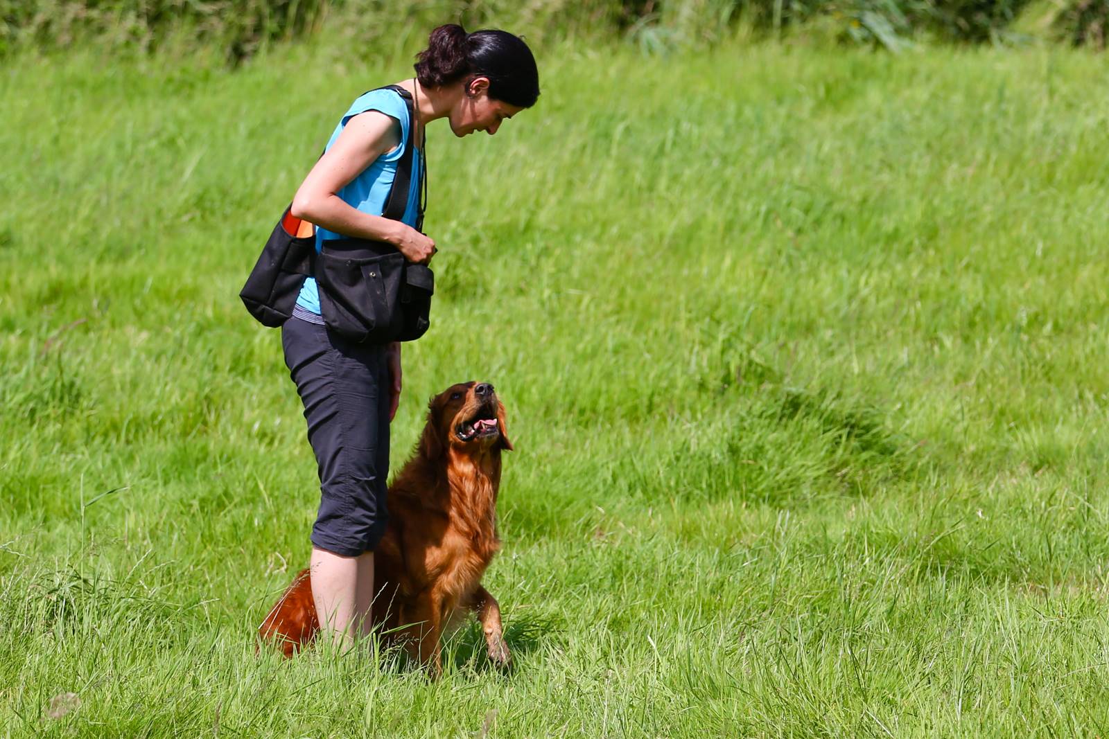 Limgl1749 20130616 1381980025