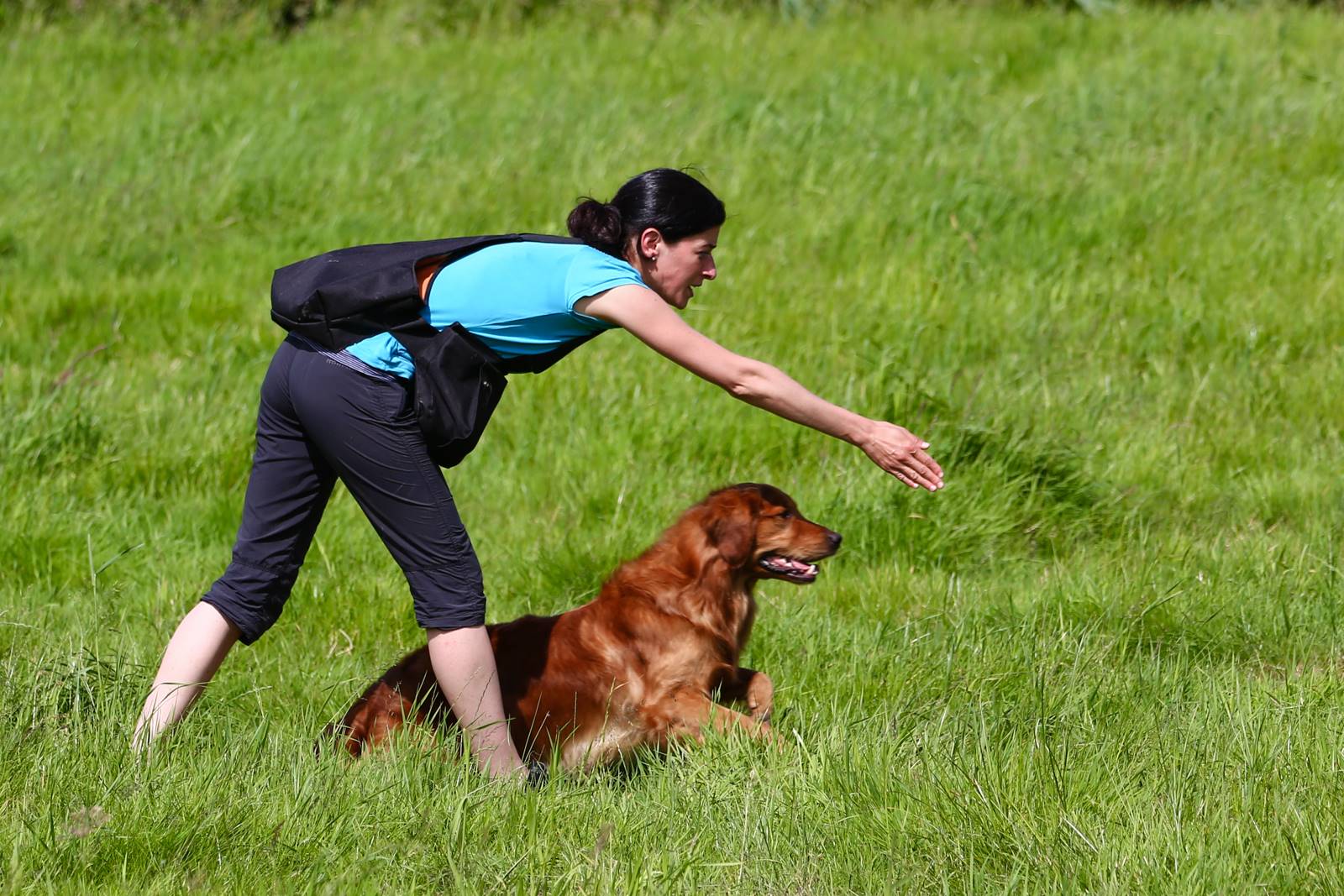 Limgl1750 20130616 1762473677