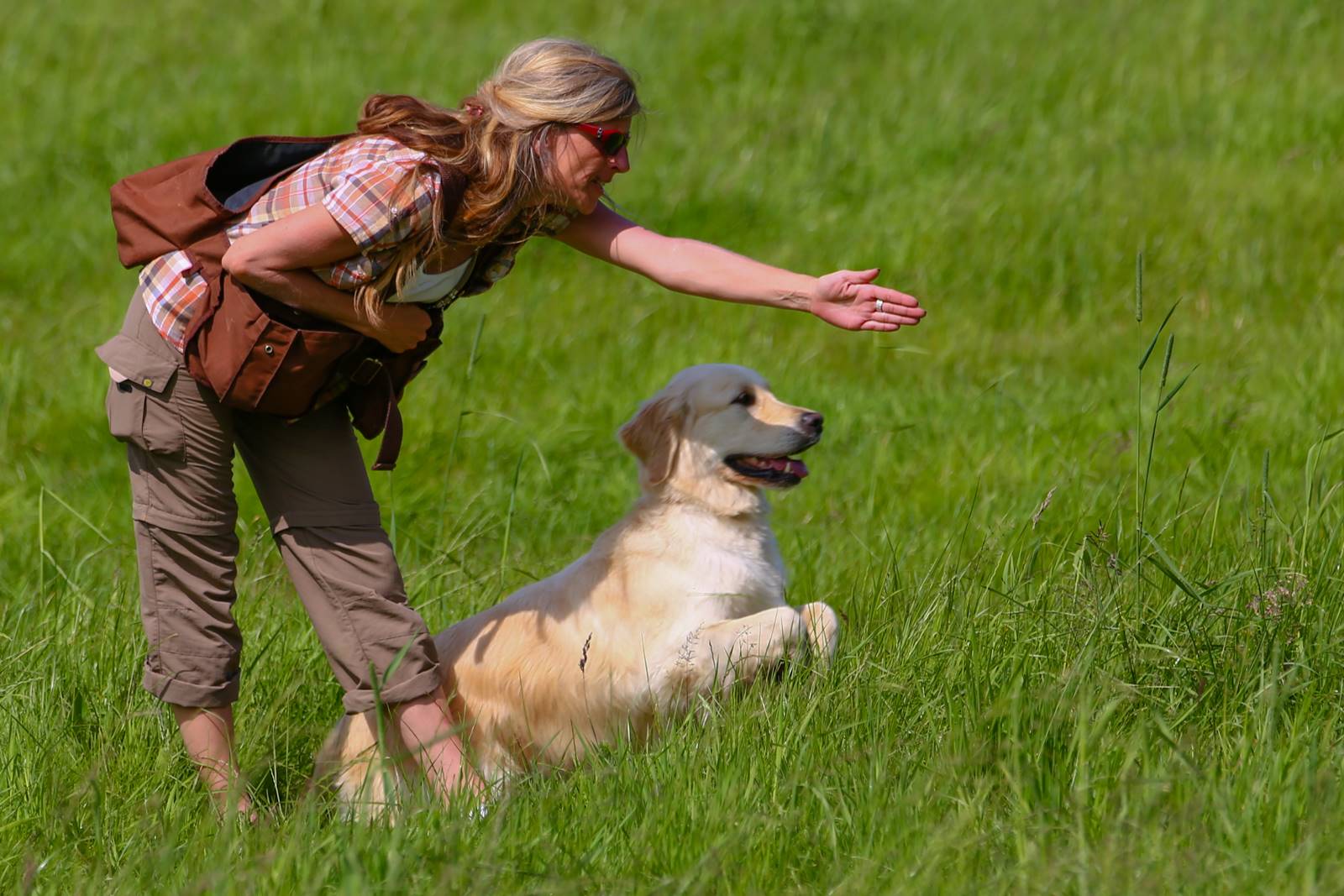 Limgl1752 20130616 1083222443