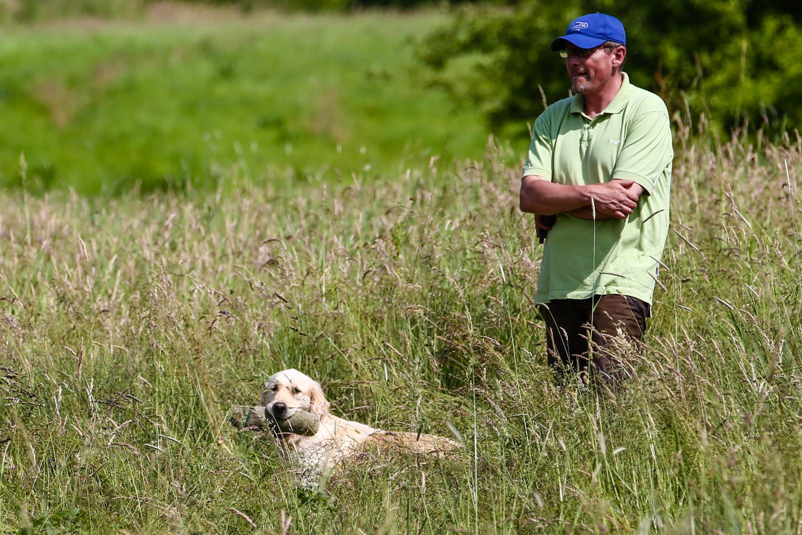 Limgl1753 20130616 1662474343