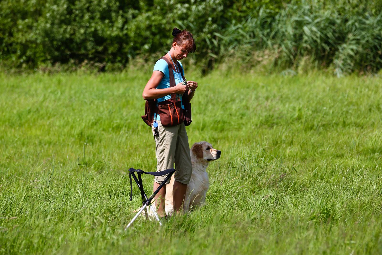 Limgl1764 20130616 1593592209