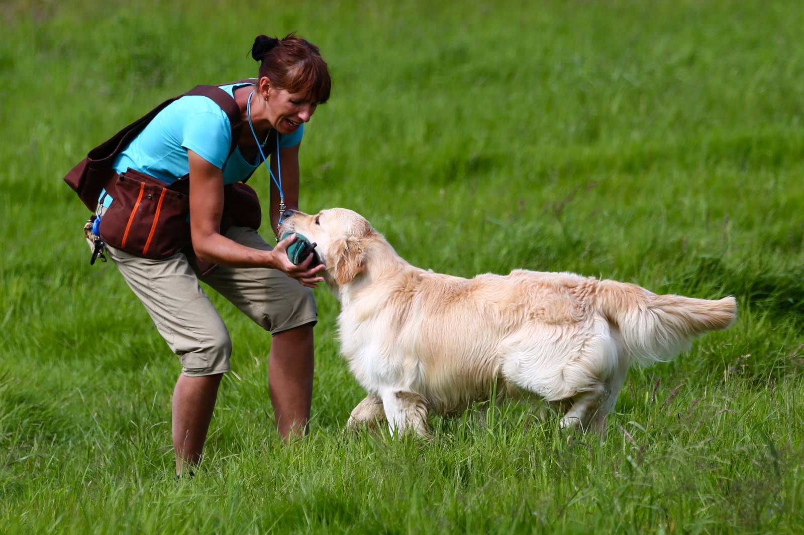 Limgl1768 20130616 1264426273