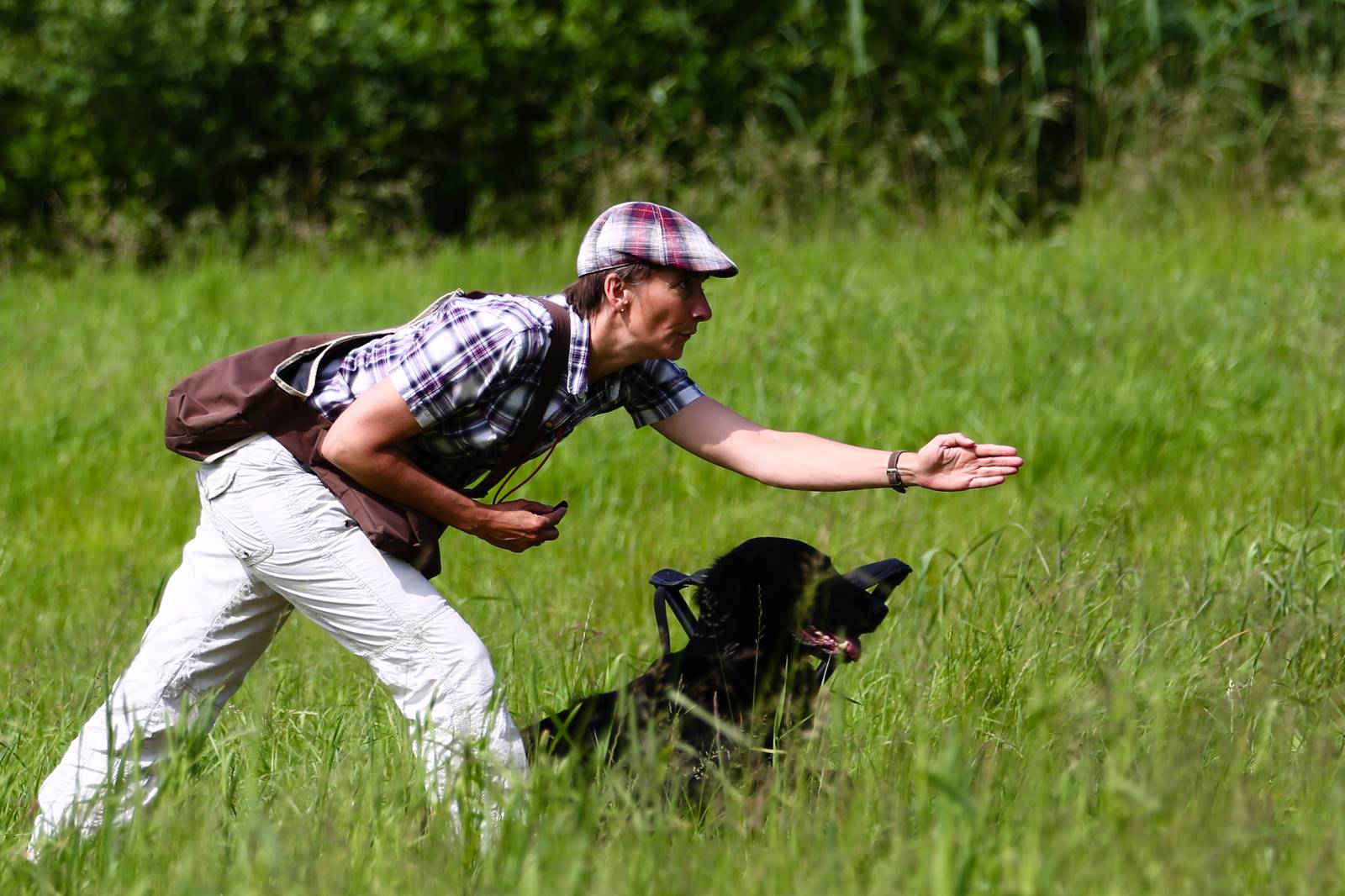 Limgl1776 20130616 2074258045