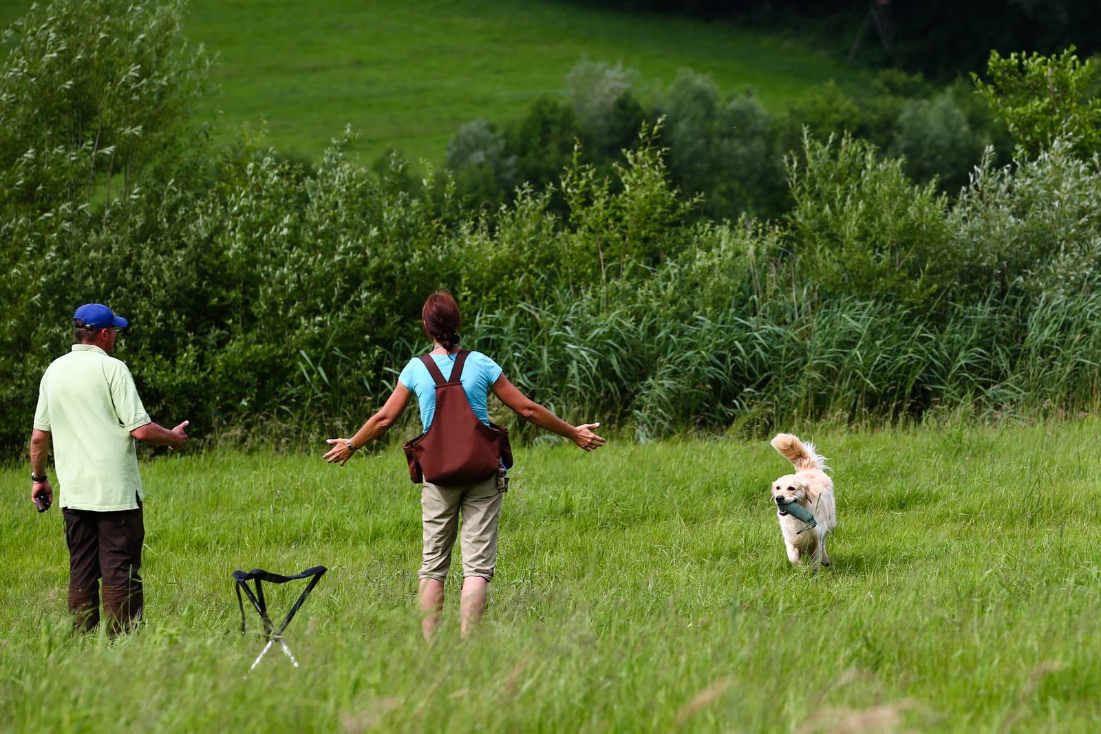 Limgl1798 20130616 1790449265