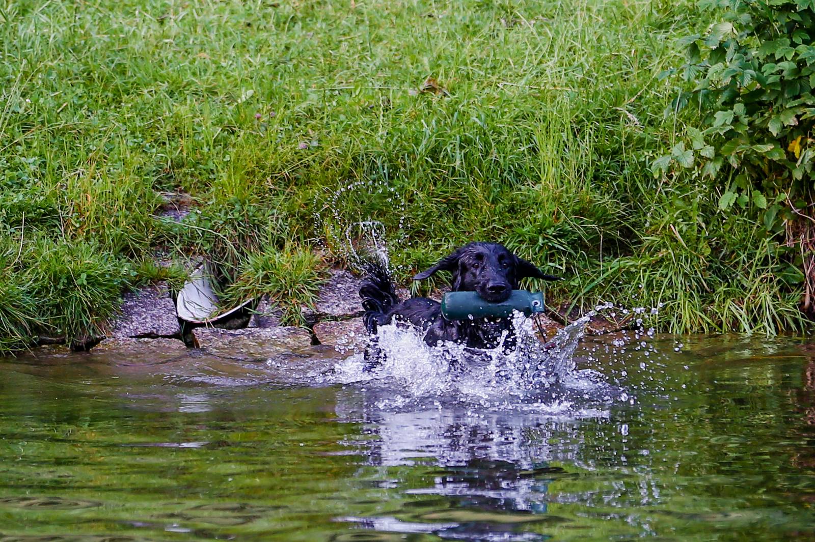 Limgl2007 20130621 1633785672