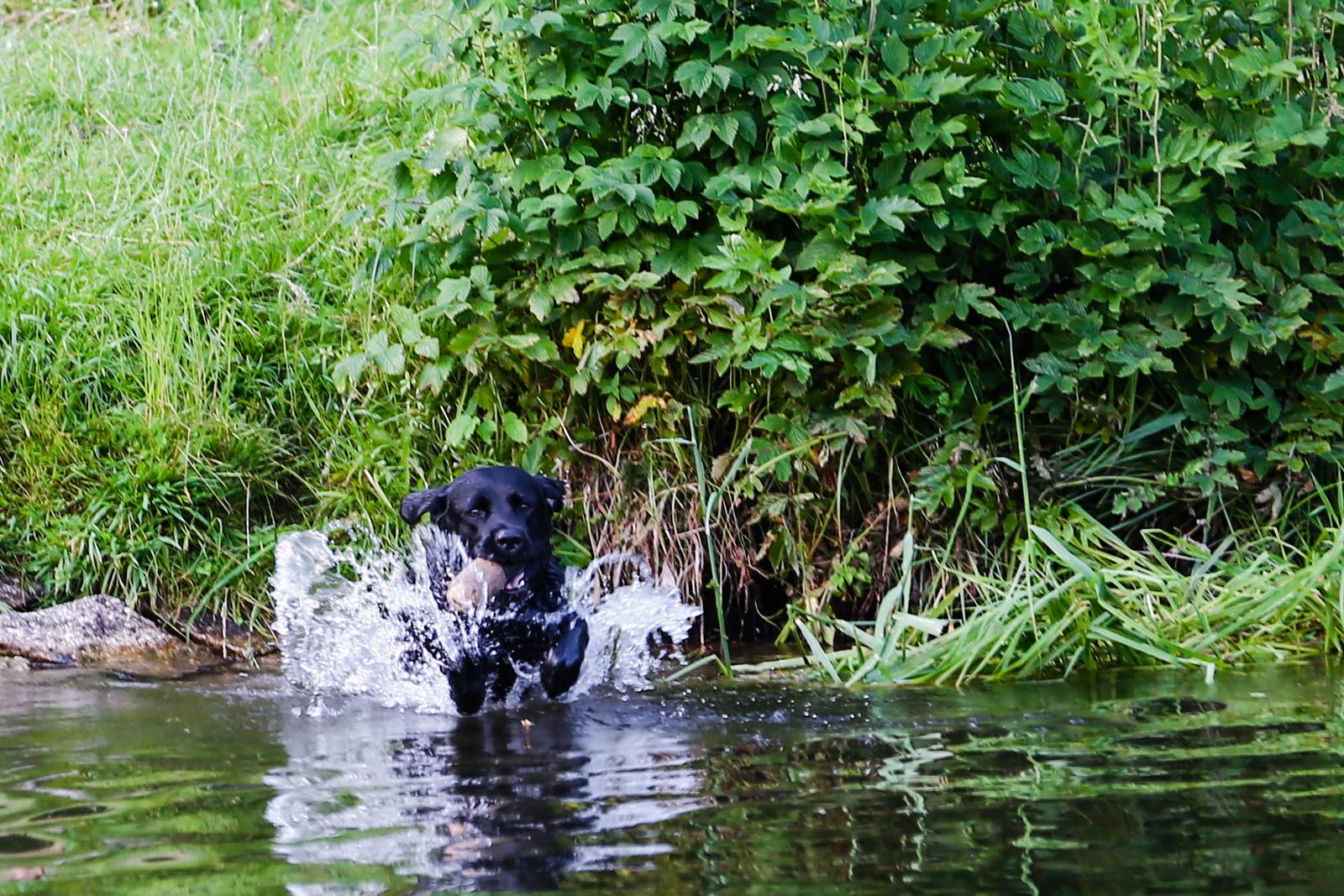 Limgl2009 20130621 1786504789