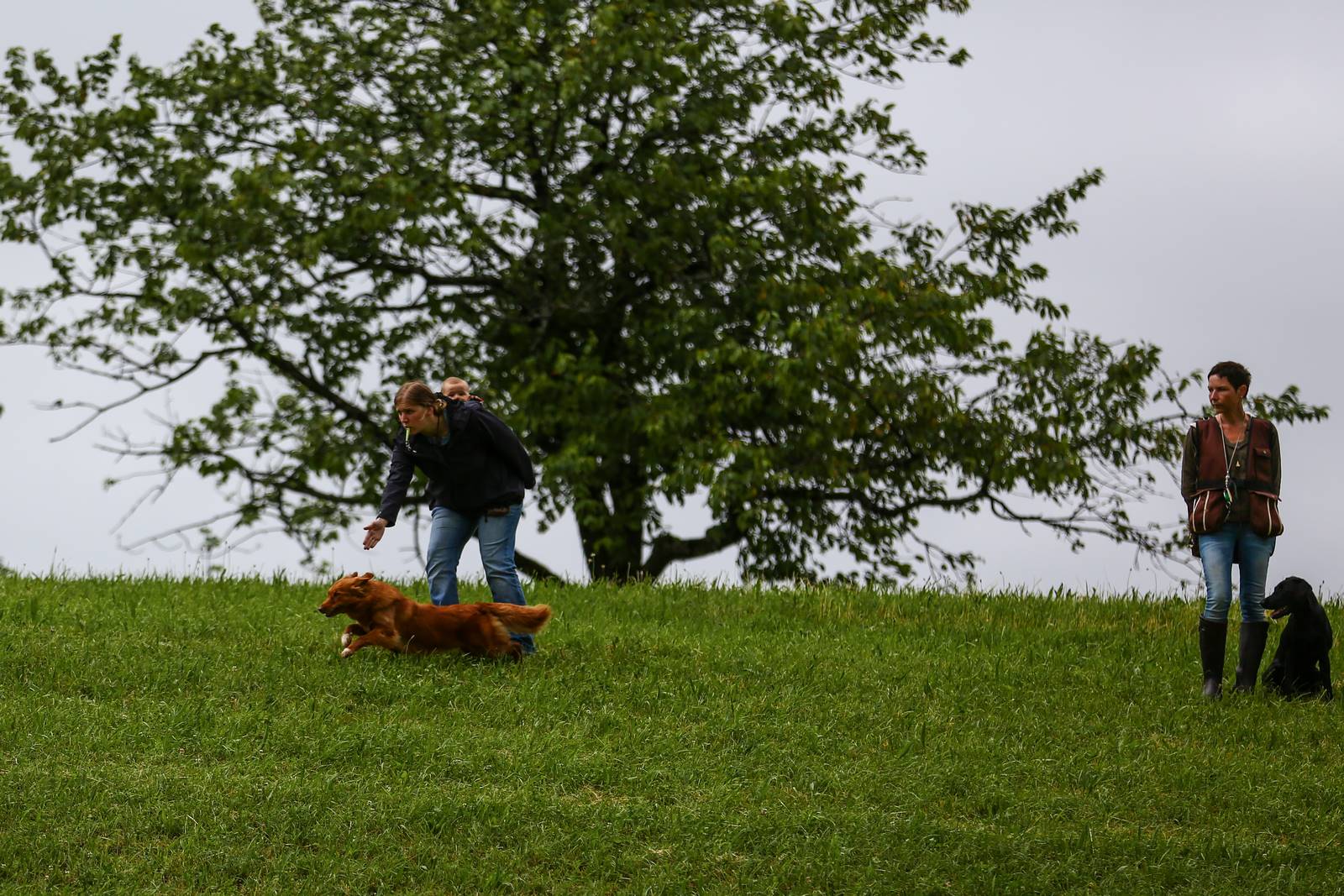 Limgl2061 20130623 1289583737