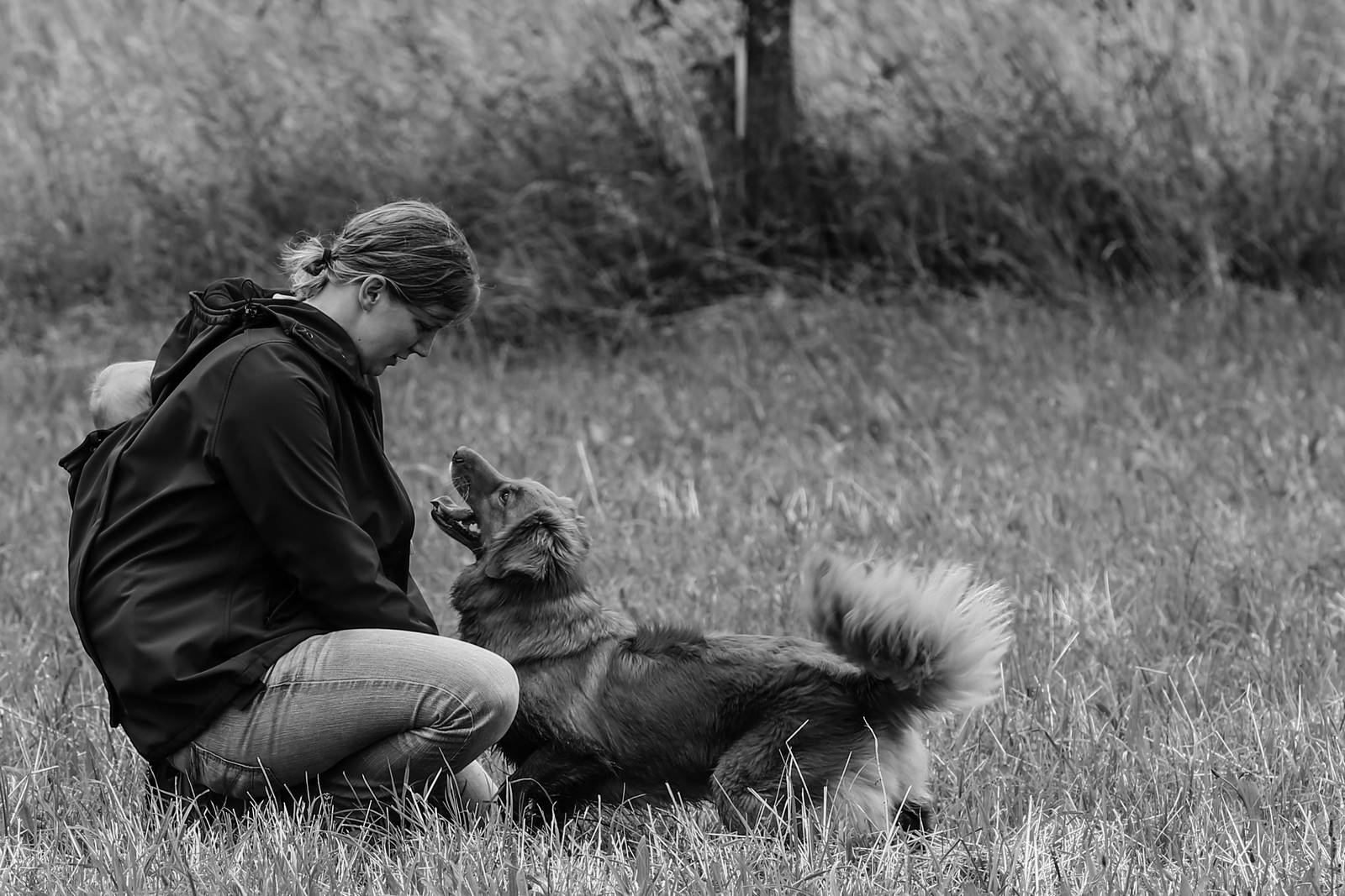 Limgl2075 20130623 1129808104