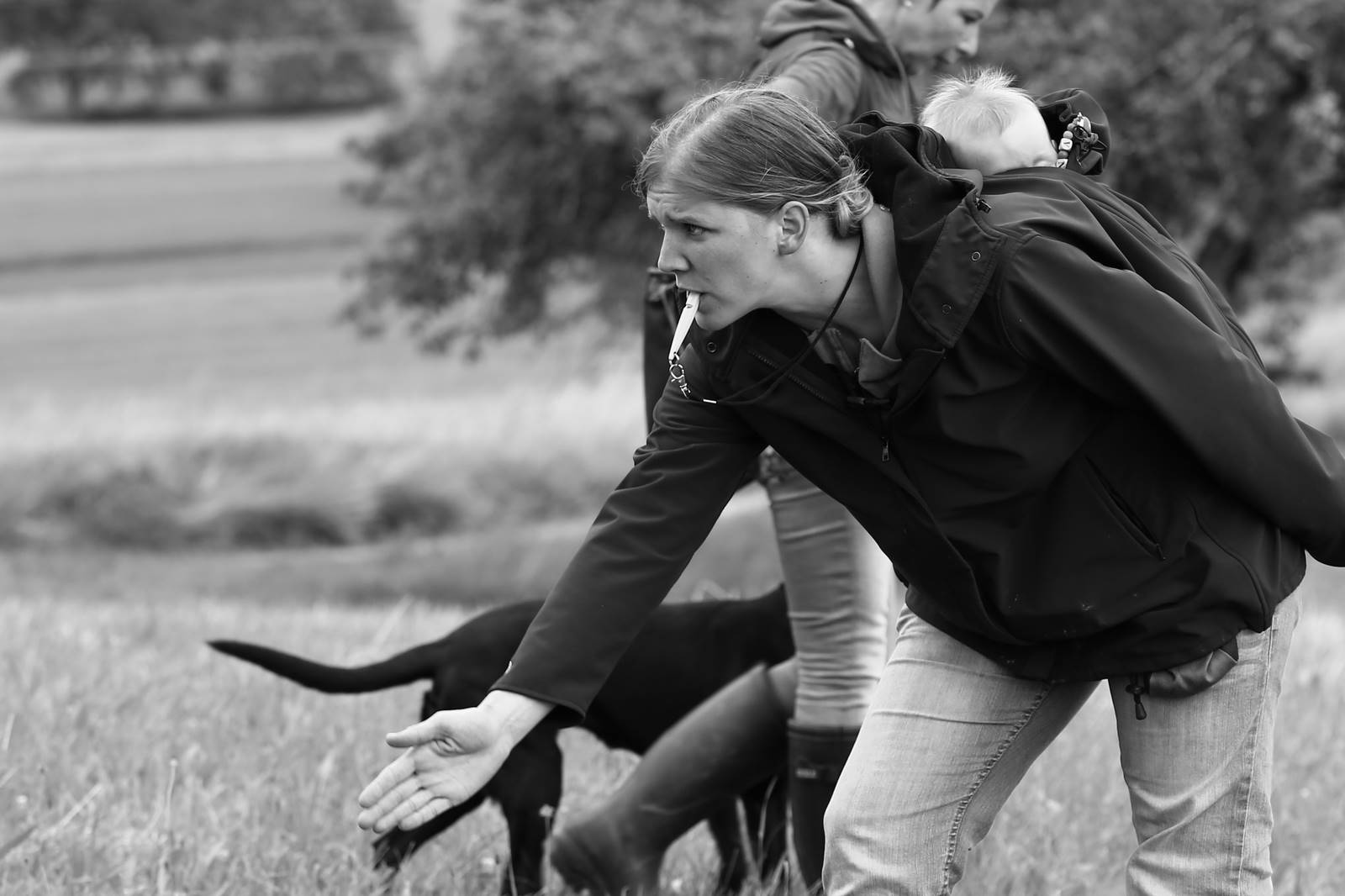 Limgl2086 20130623 1722727891