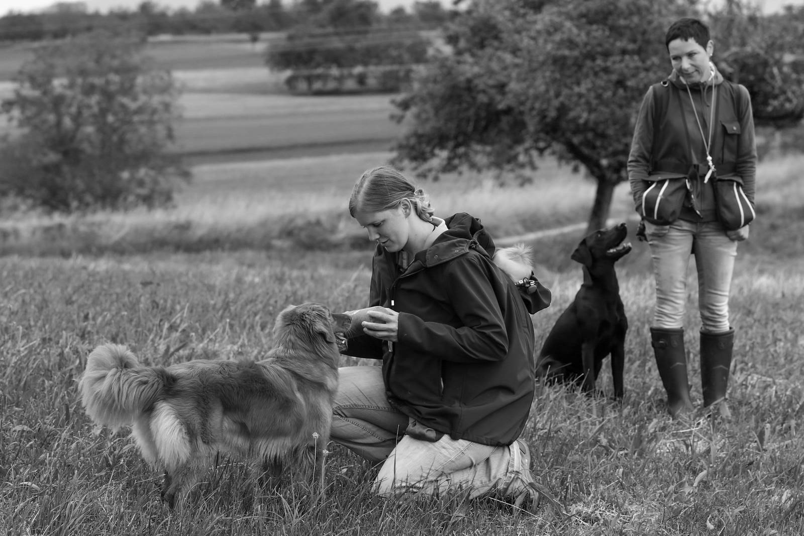 Limgl2088 20130623 1663208654