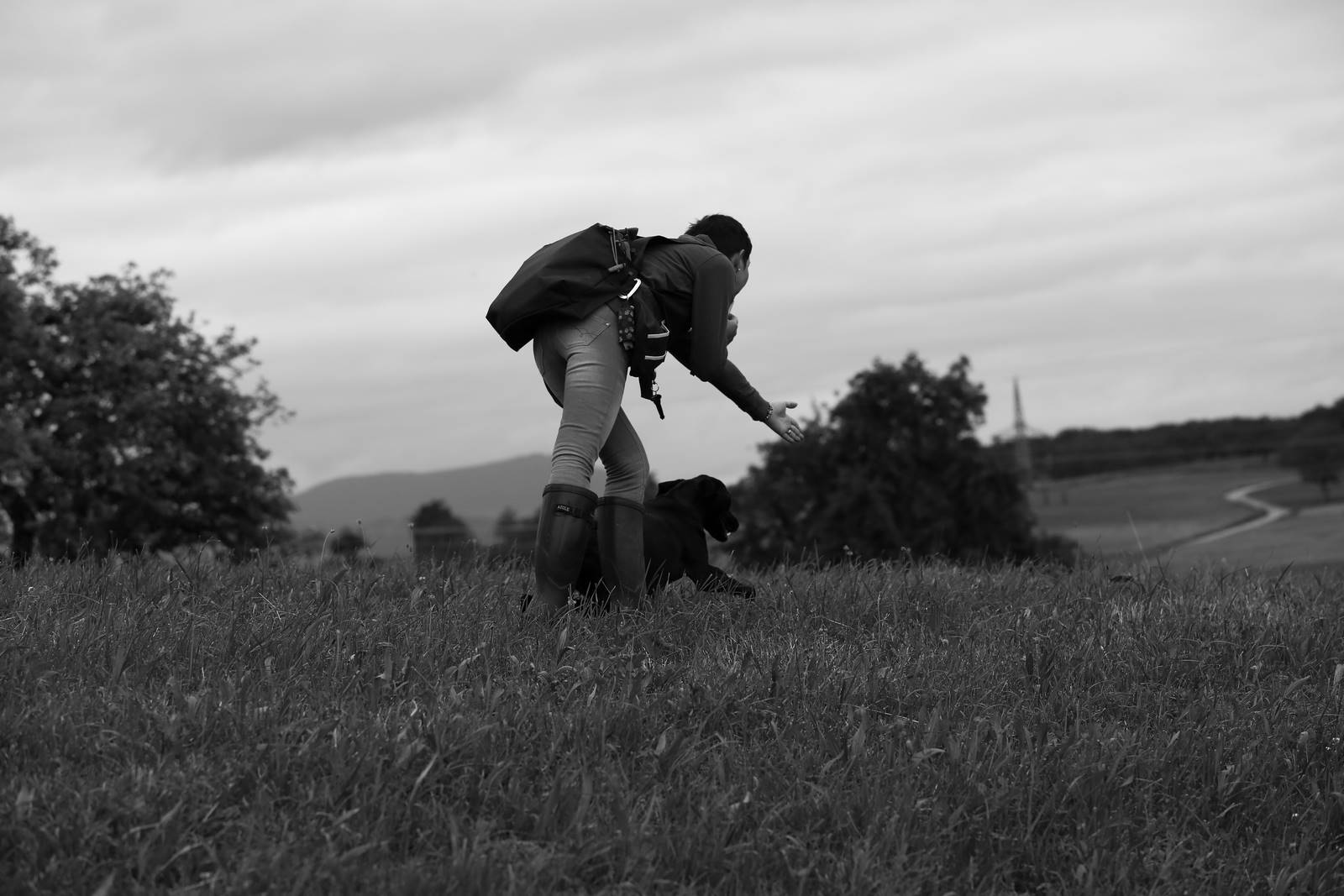 Limgl2089 20130623 1961695785