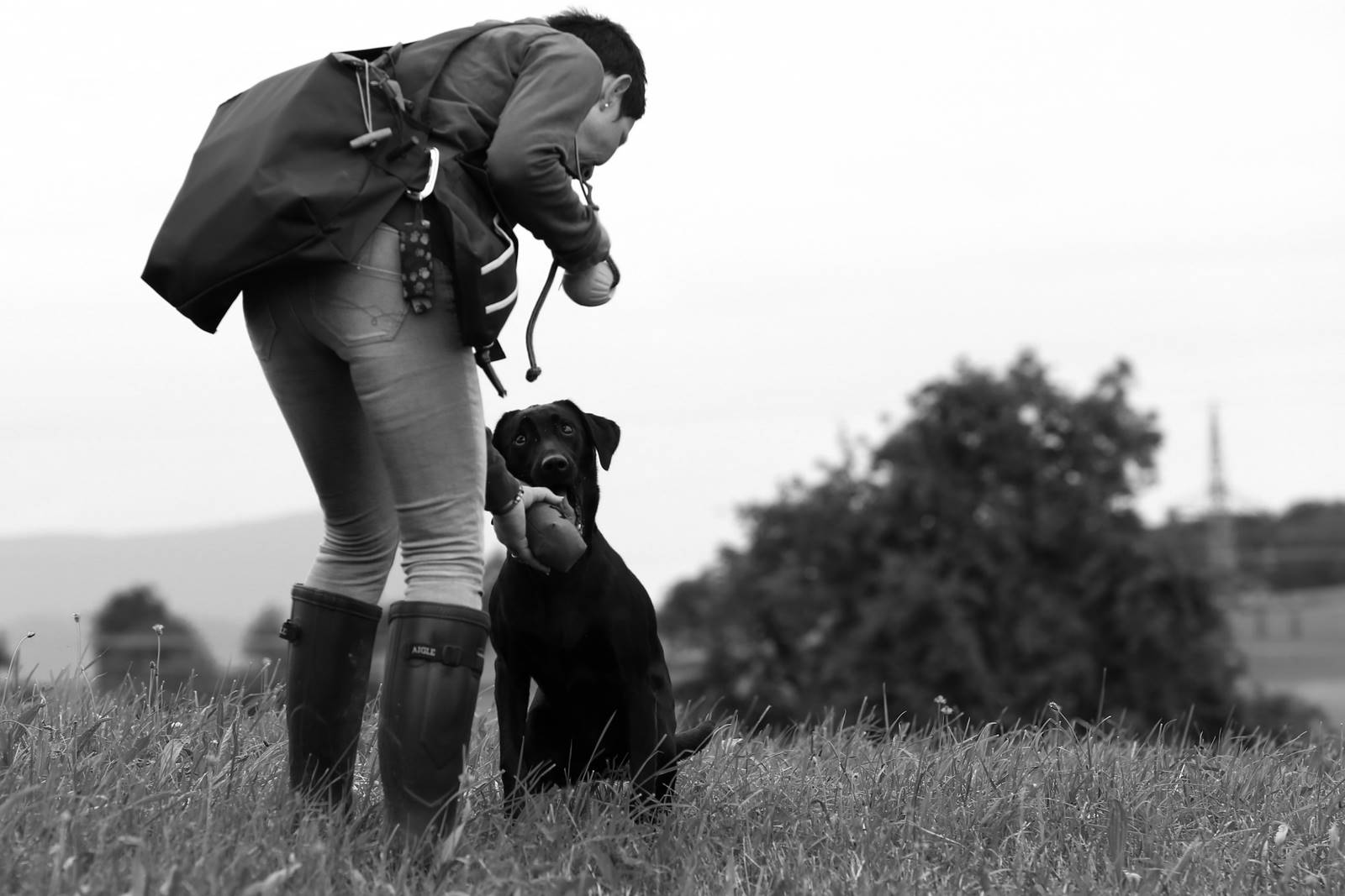 Limgl2091 20130623 1525643923