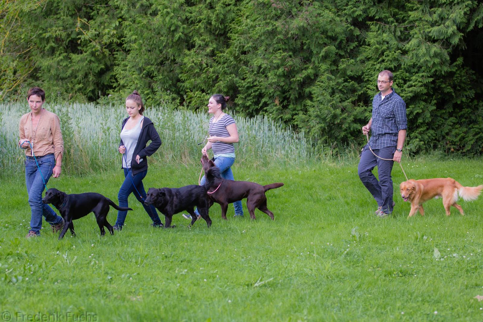 Limgl2319 20130705 2049025808