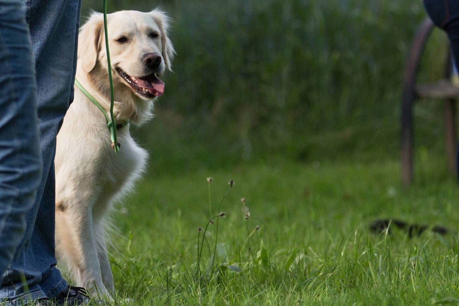 Limgl2322 20130705 1846361153