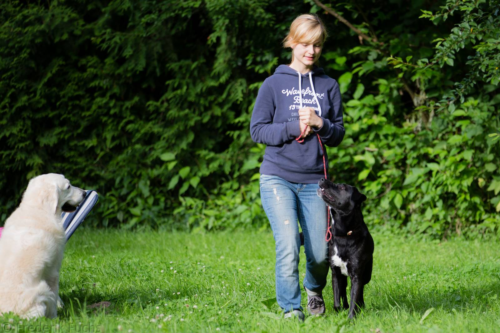 Limgl2323 20130705 1553619979