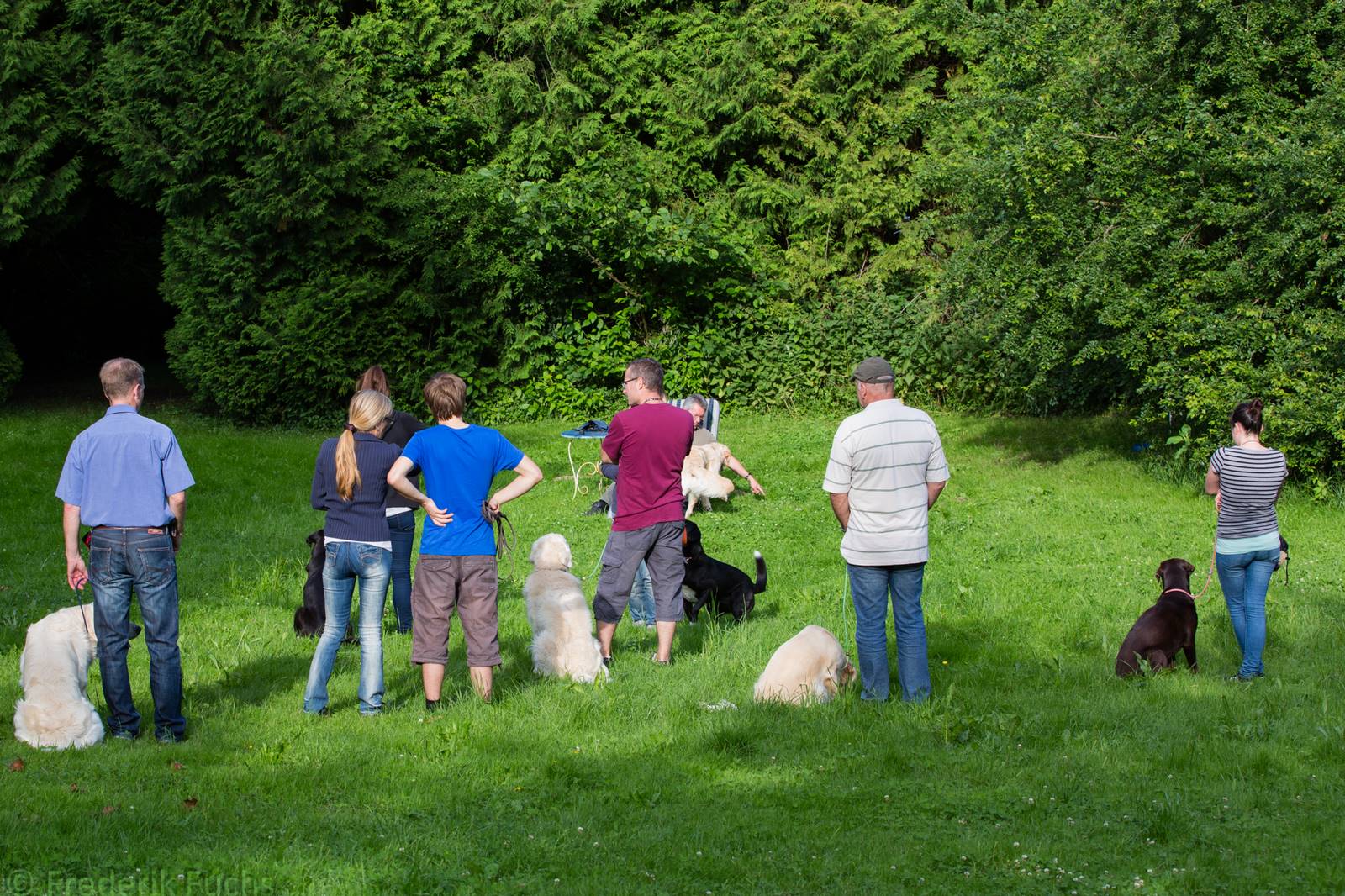 Limgl2325 20130705 1200588064