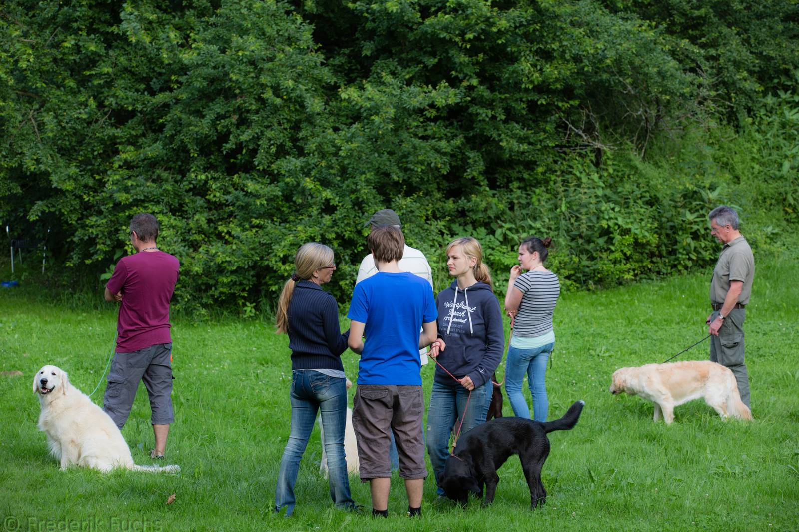 Limgl2326 20130705 1162900362