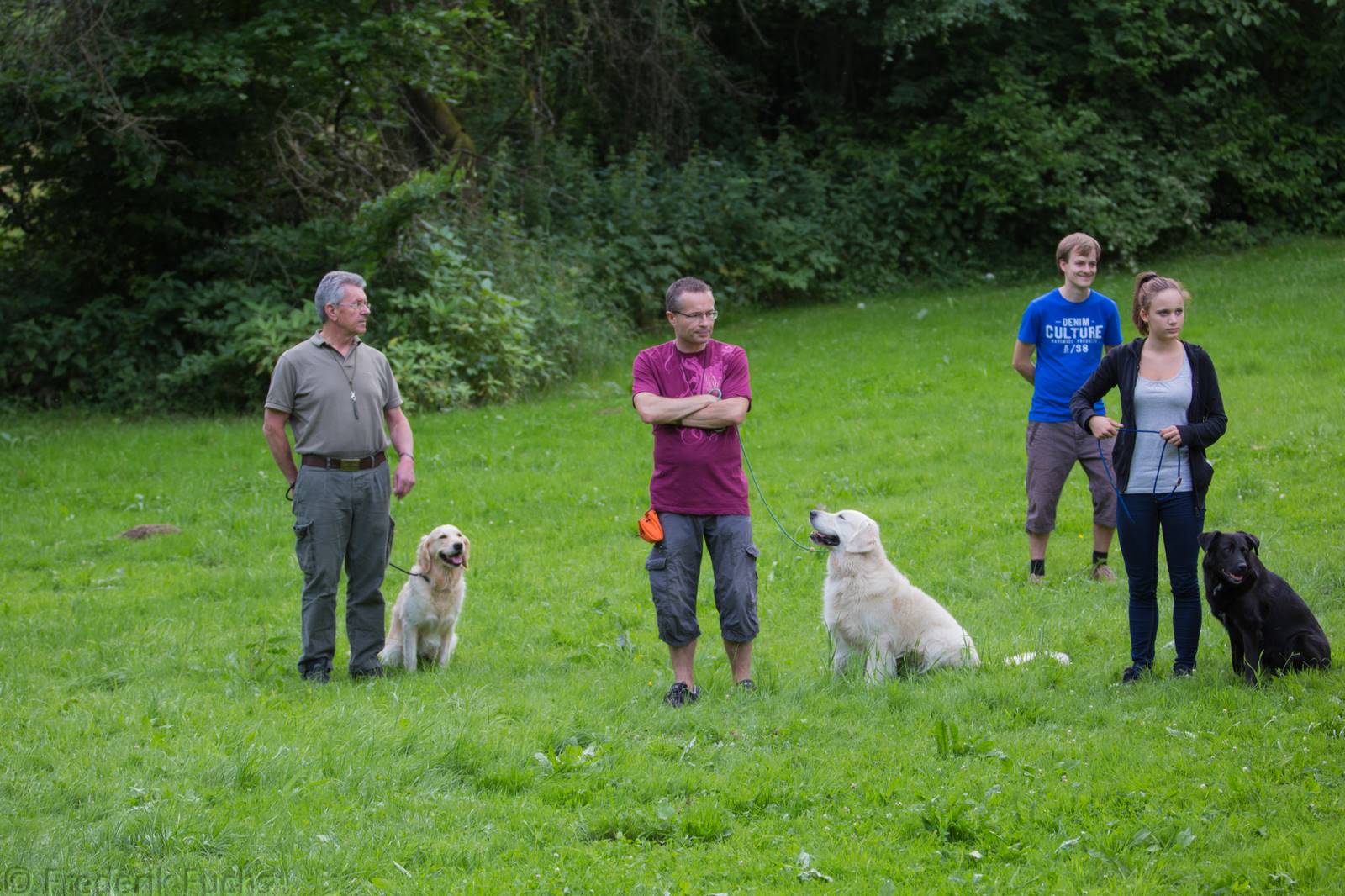 Limgl2336 20130705 1162378063