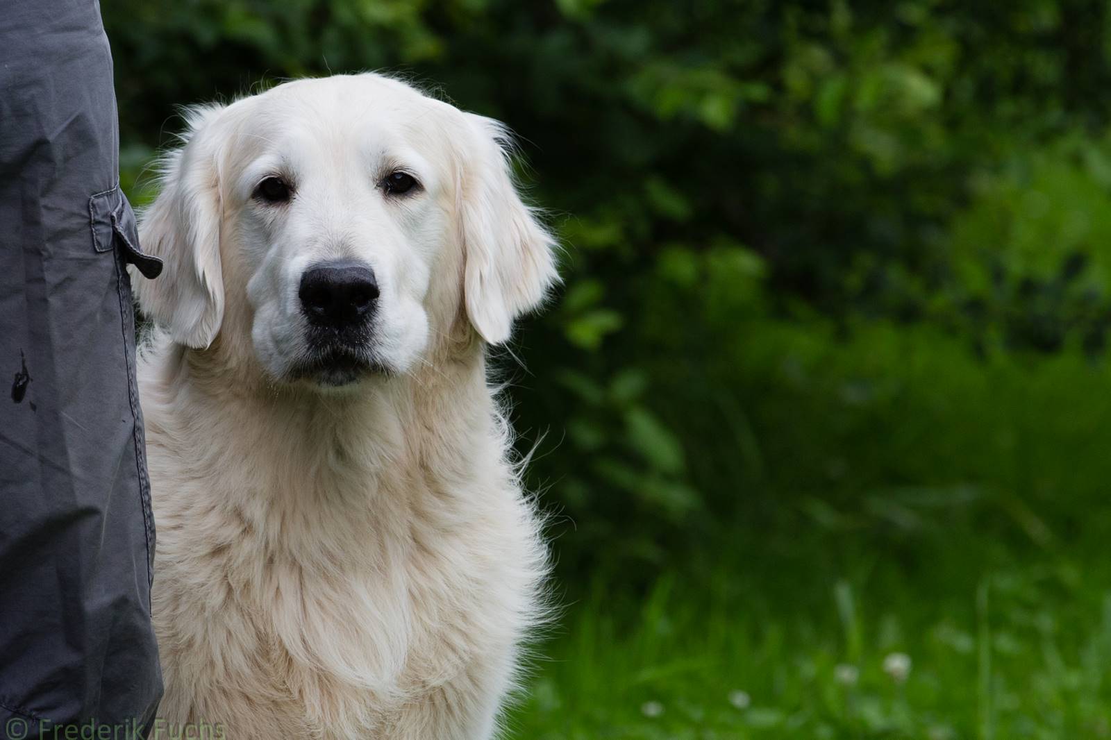 Limgl2350 20130705 1971660181