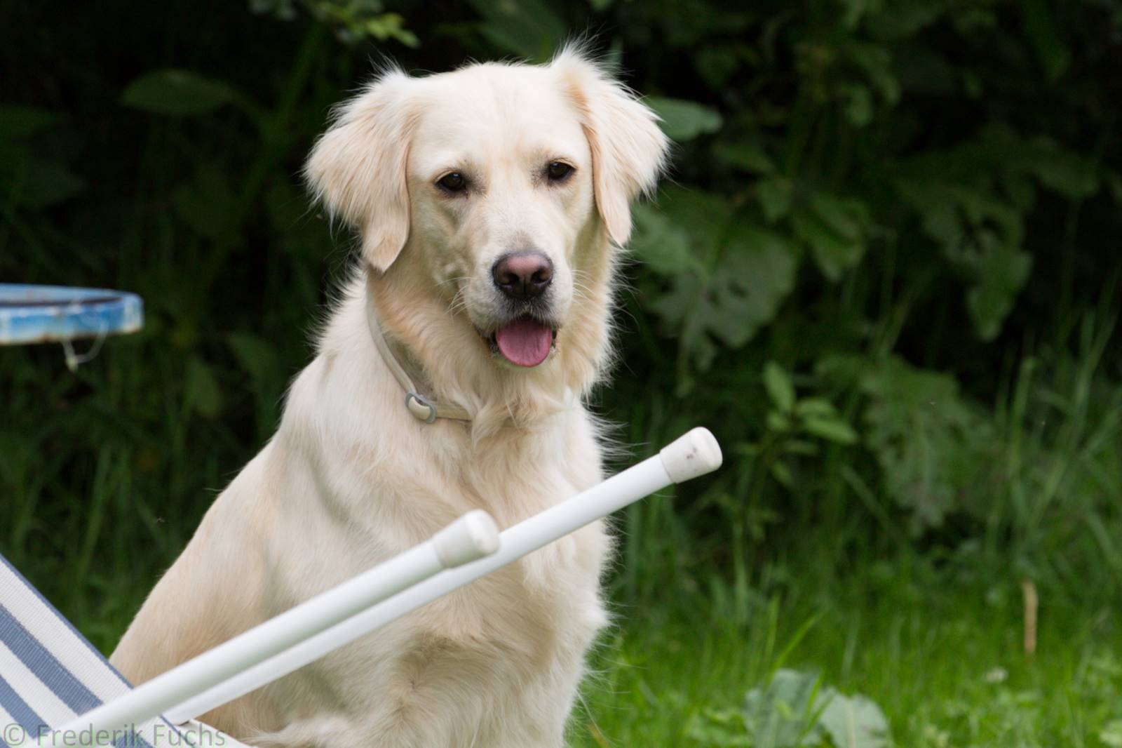 Limgl2354 20130705 1389035558