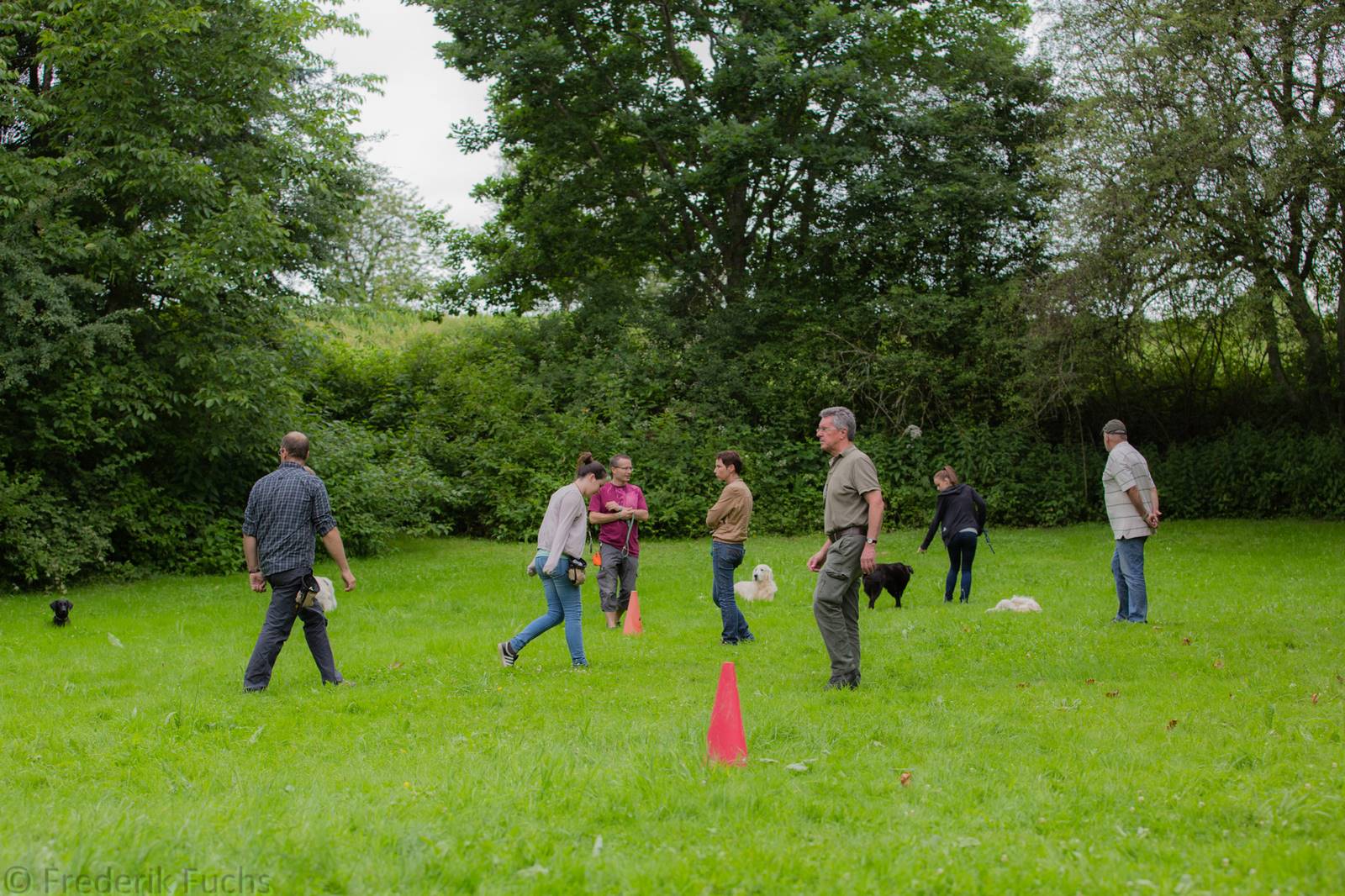 Limgl2370 20130705 1239633443