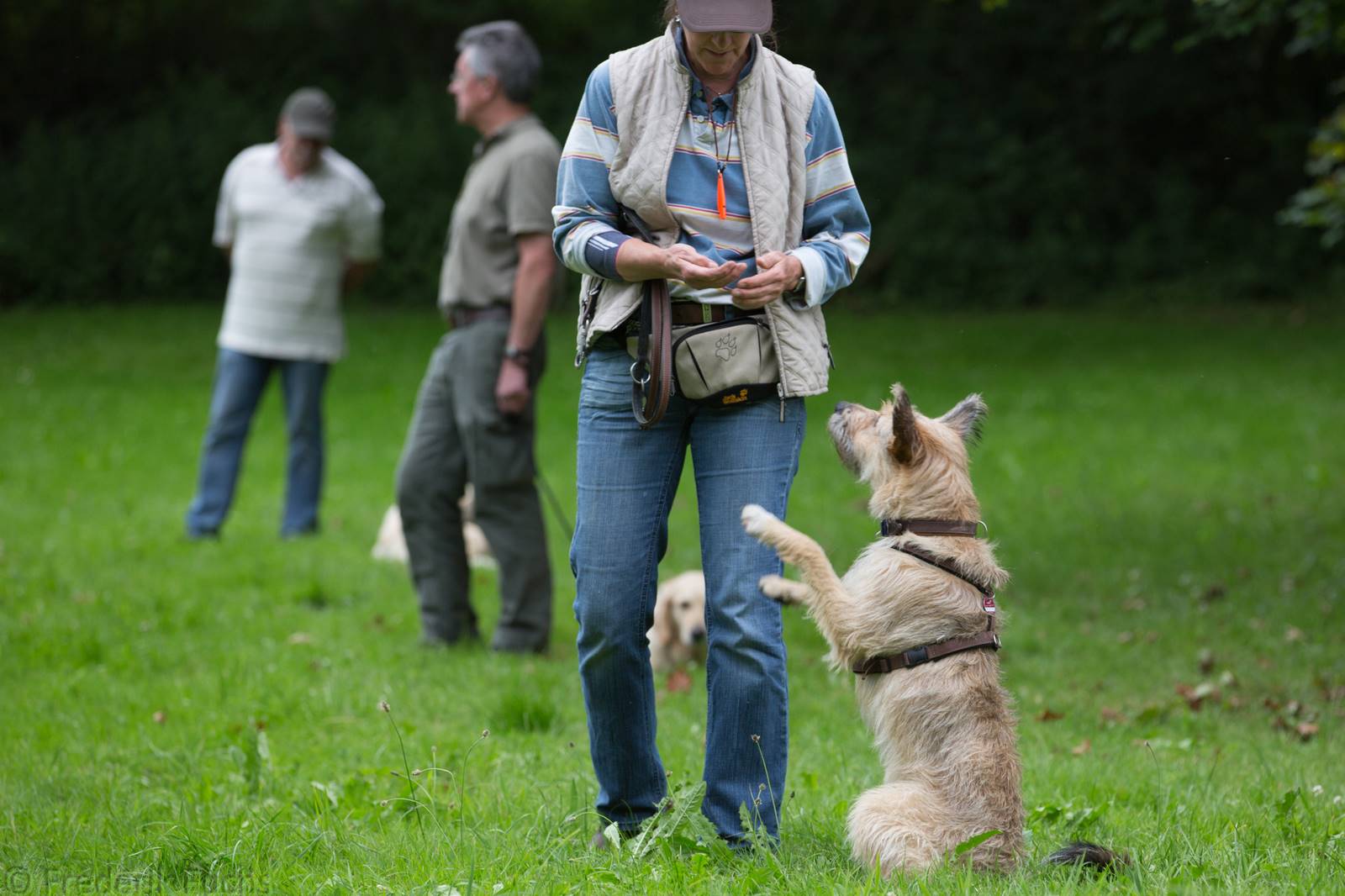 Limgl2384 20130705 2073240790