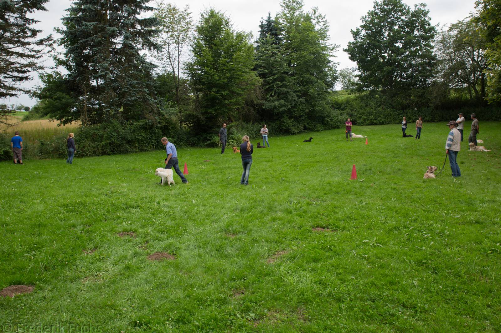 Limgl2388 20130705 2099689697