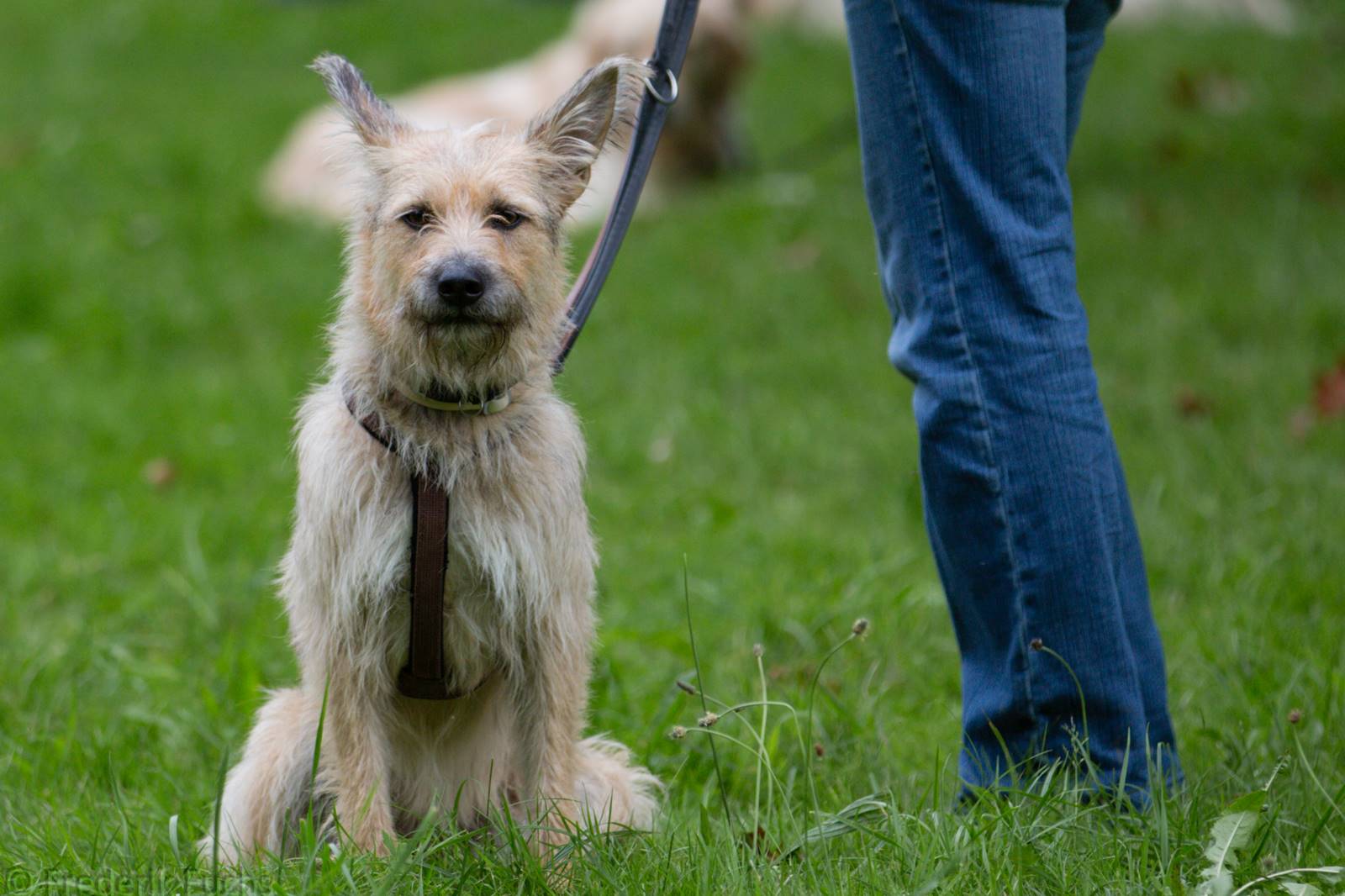 Limgl2396 20130705 1784790814