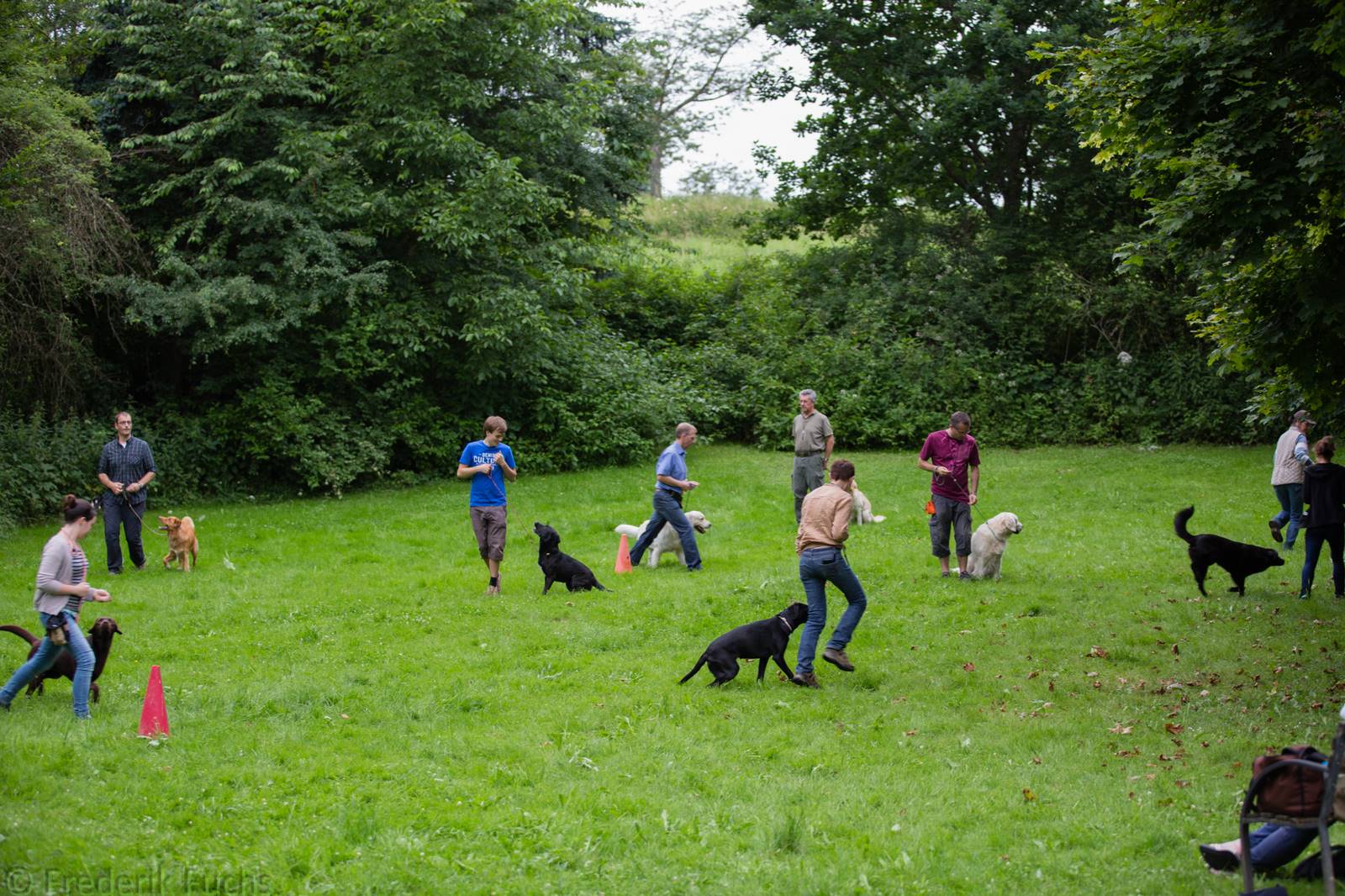 Limgl2397 20130705 1258068283