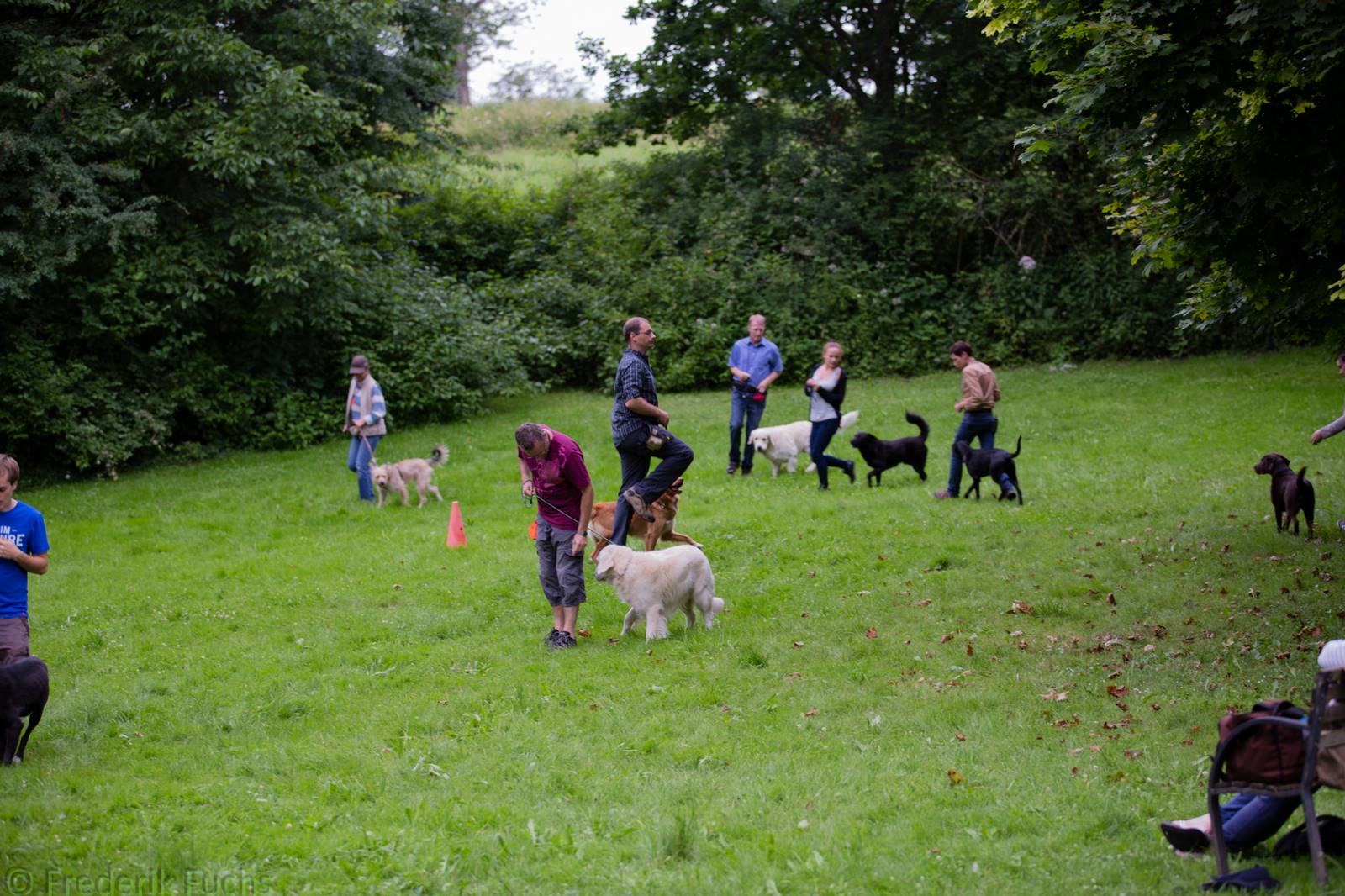 Limgl2401 20130705 1394191027