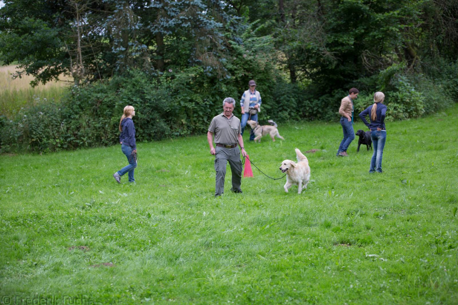 Limgl2413 20130705 2076215377