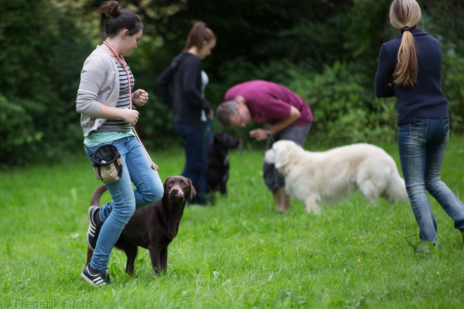 Limgl2482 20130705 1915876760