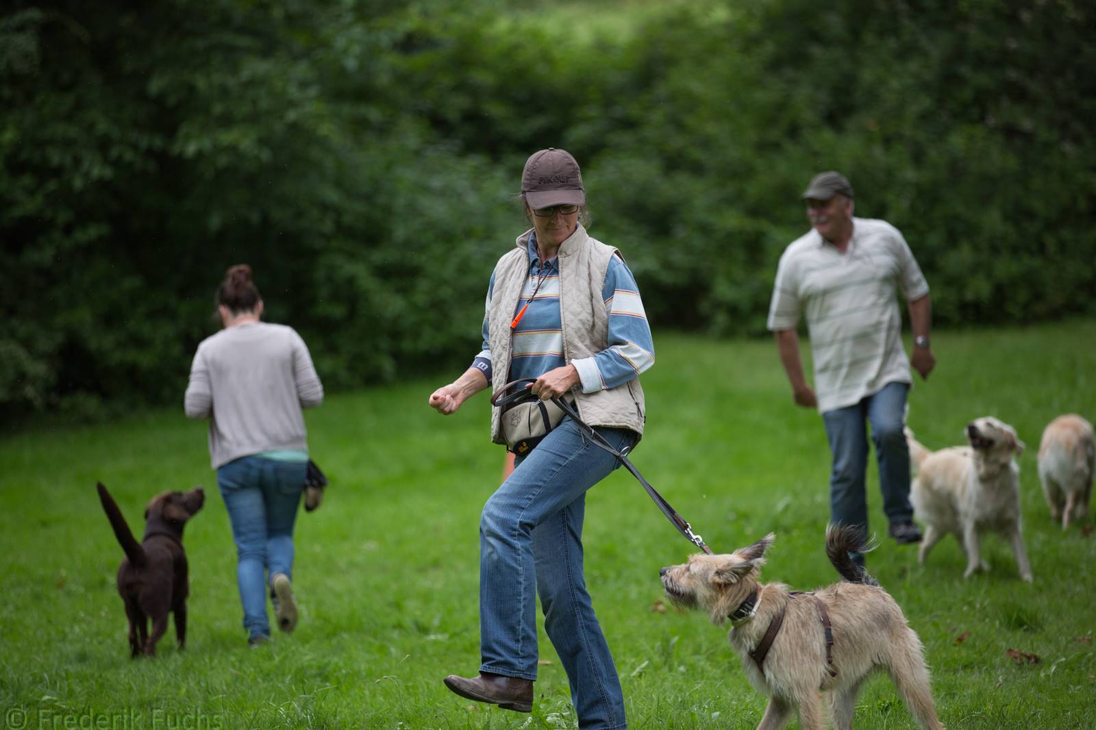 Limgl2486 20130705 1194740586