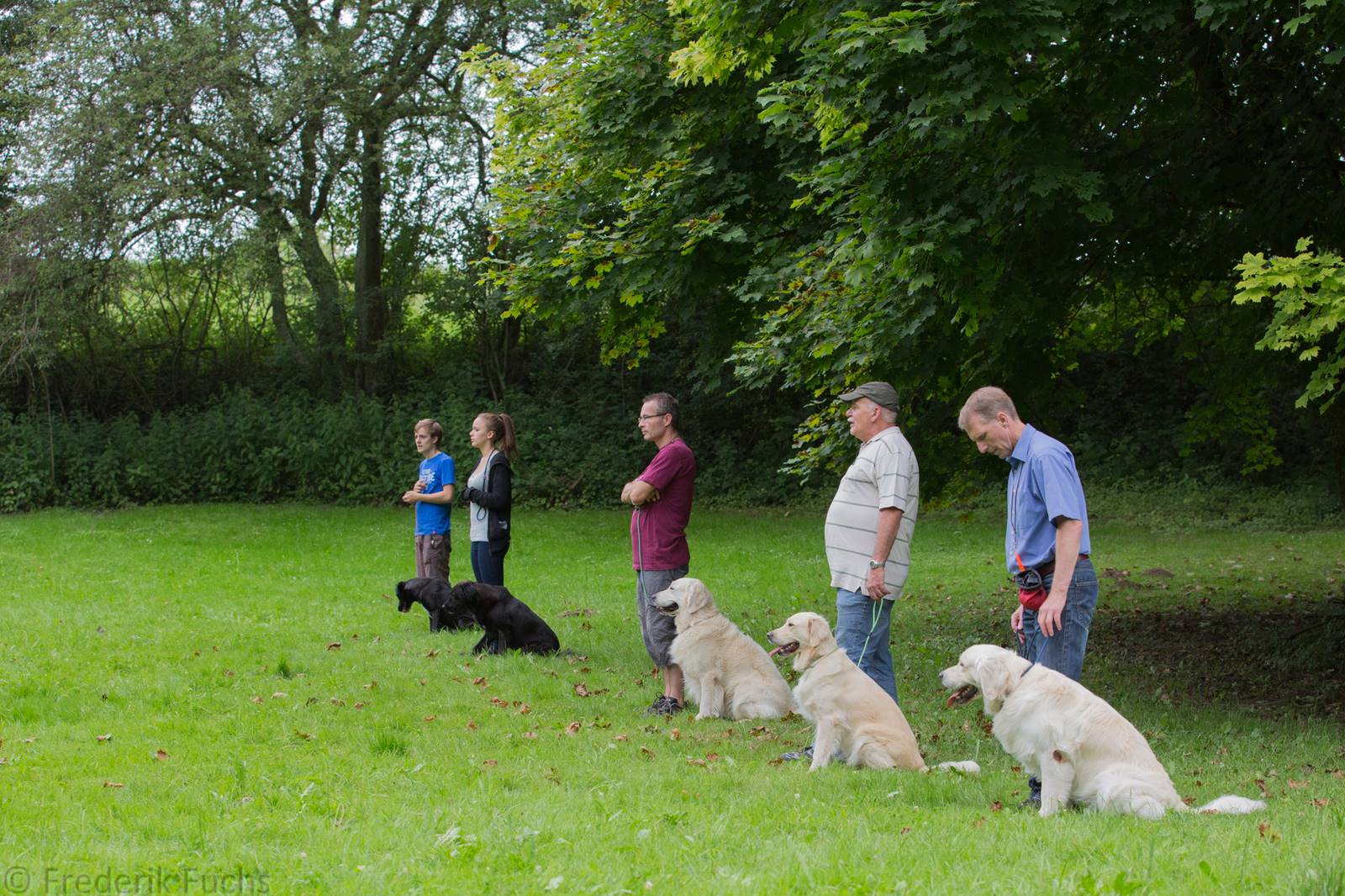 Limgl2502 20130705 1924648138