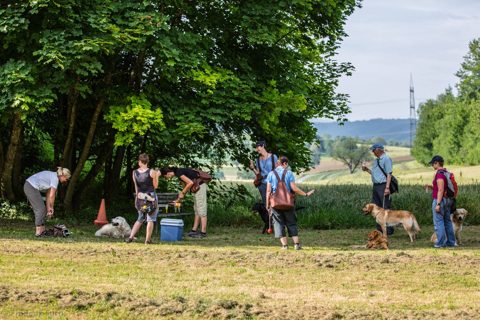 Limgl2741 20130719 2093075448