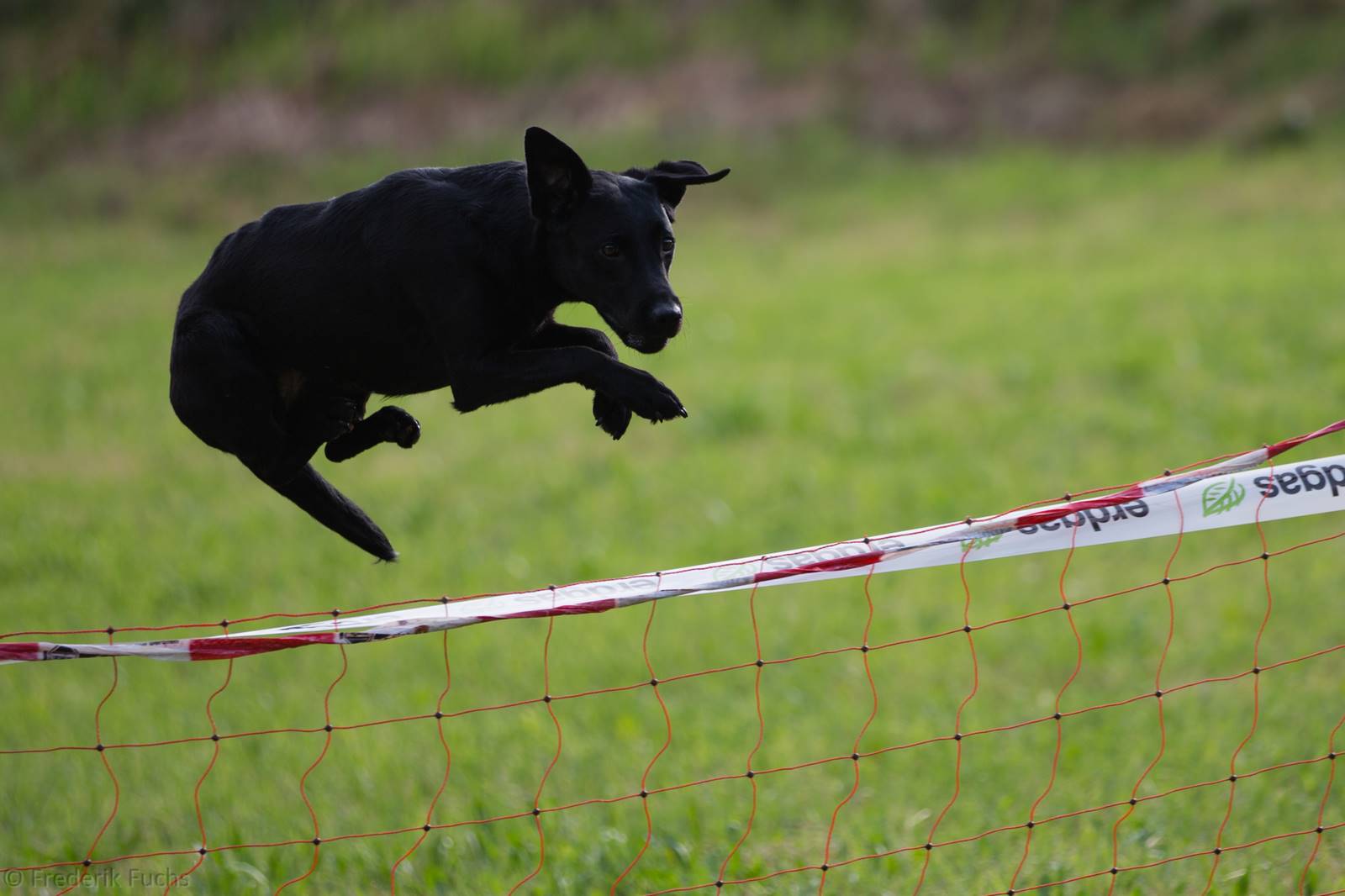 Limgl2758 20130719 1176510535