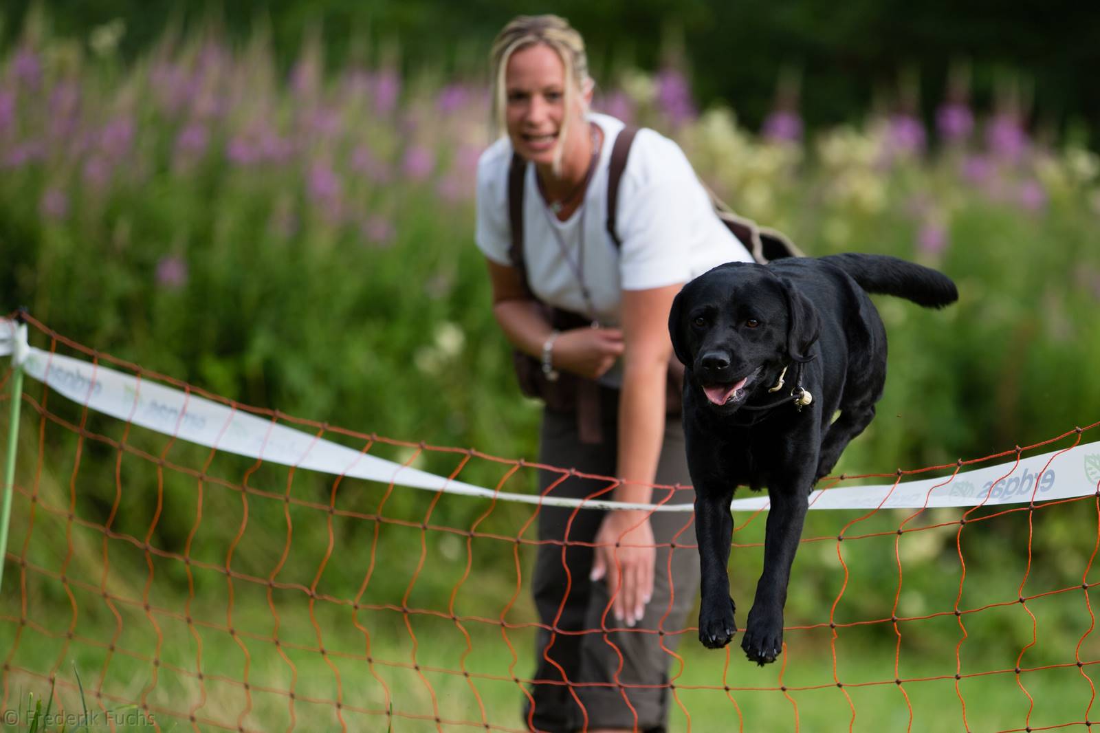 Limgl2792 20130719 1509854323