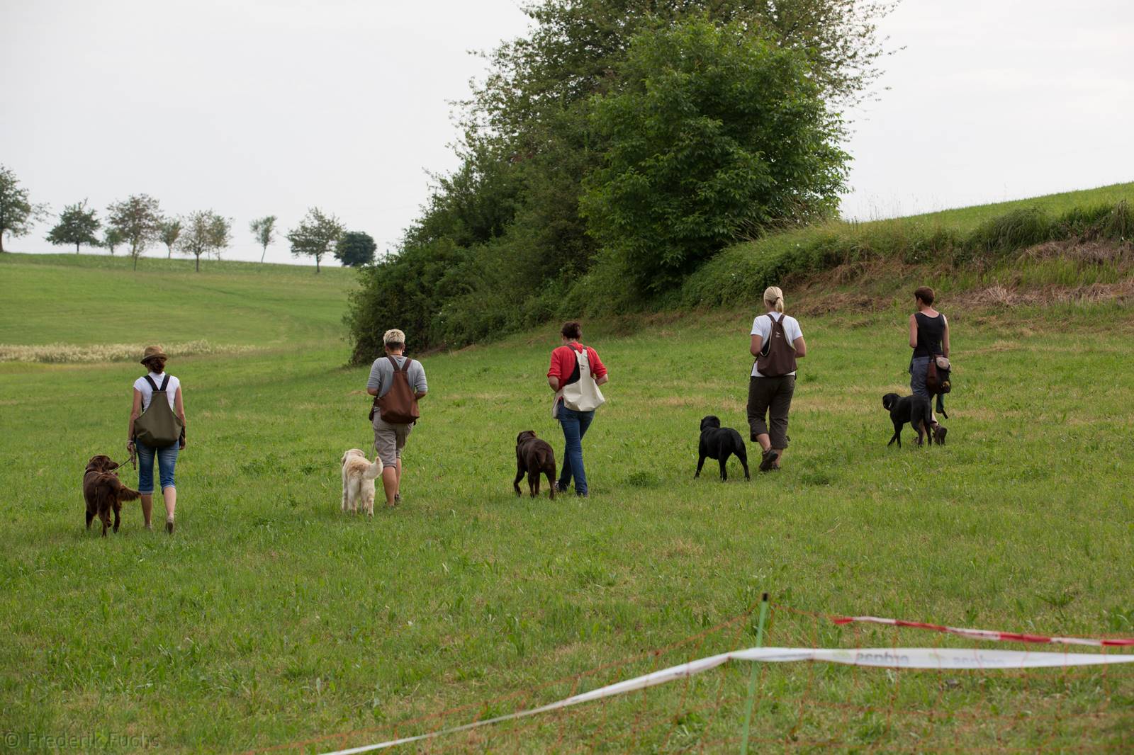 Limgl2808 20130719 1577567272