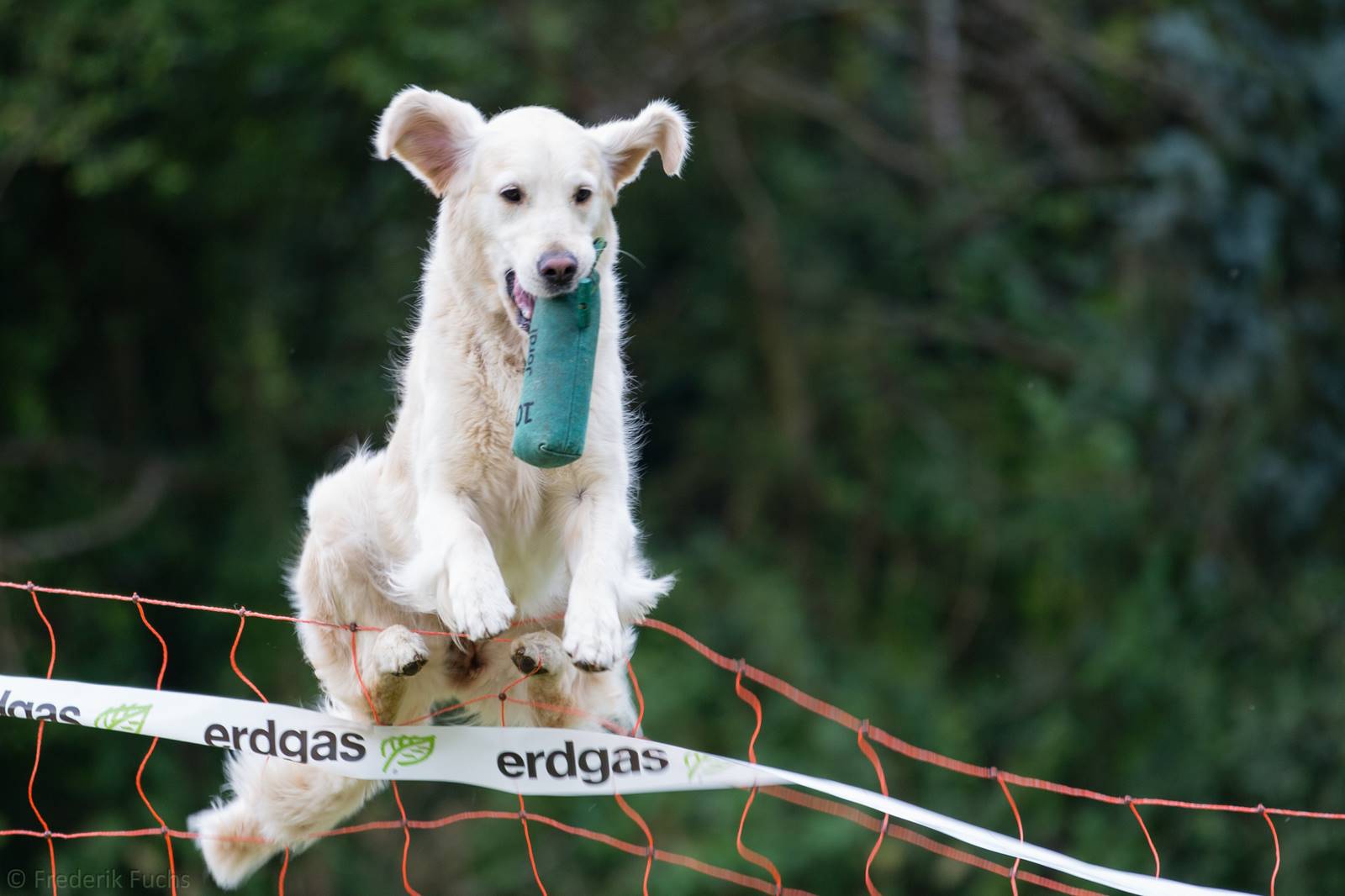 Limgl2853 20130719 1591793689